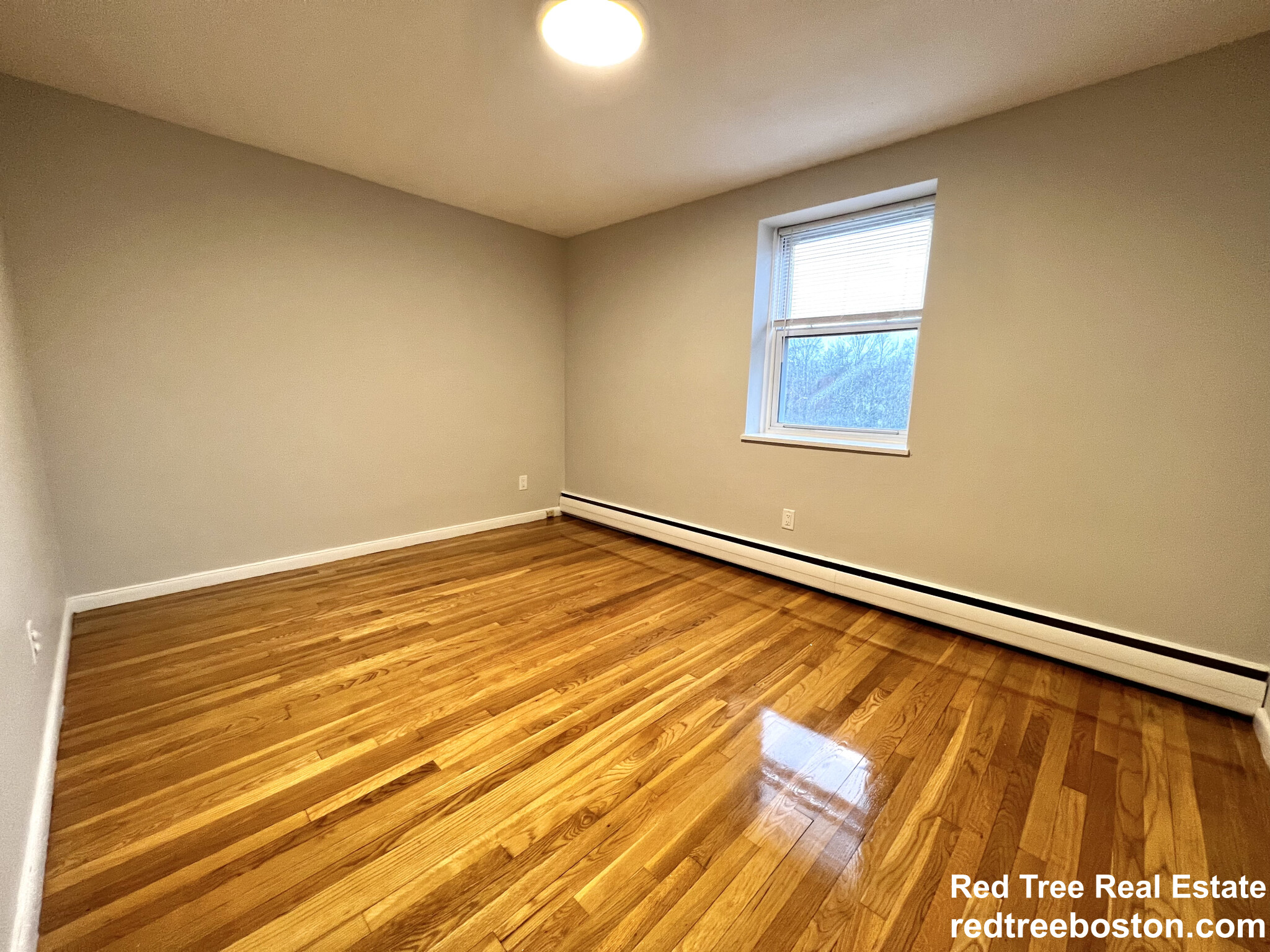 110 Babcock St, Coolidge Corner