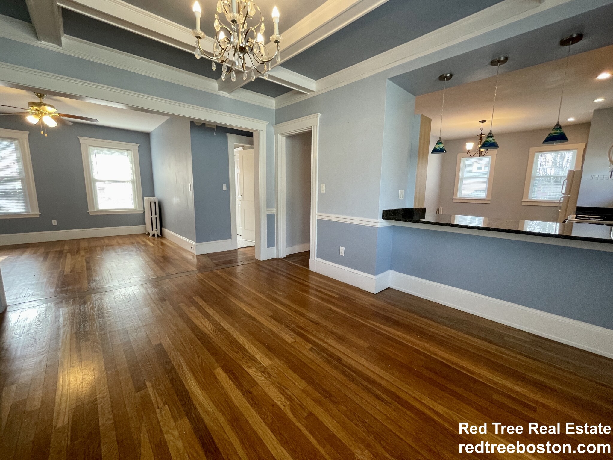 15 Westbourne Rd, Newton