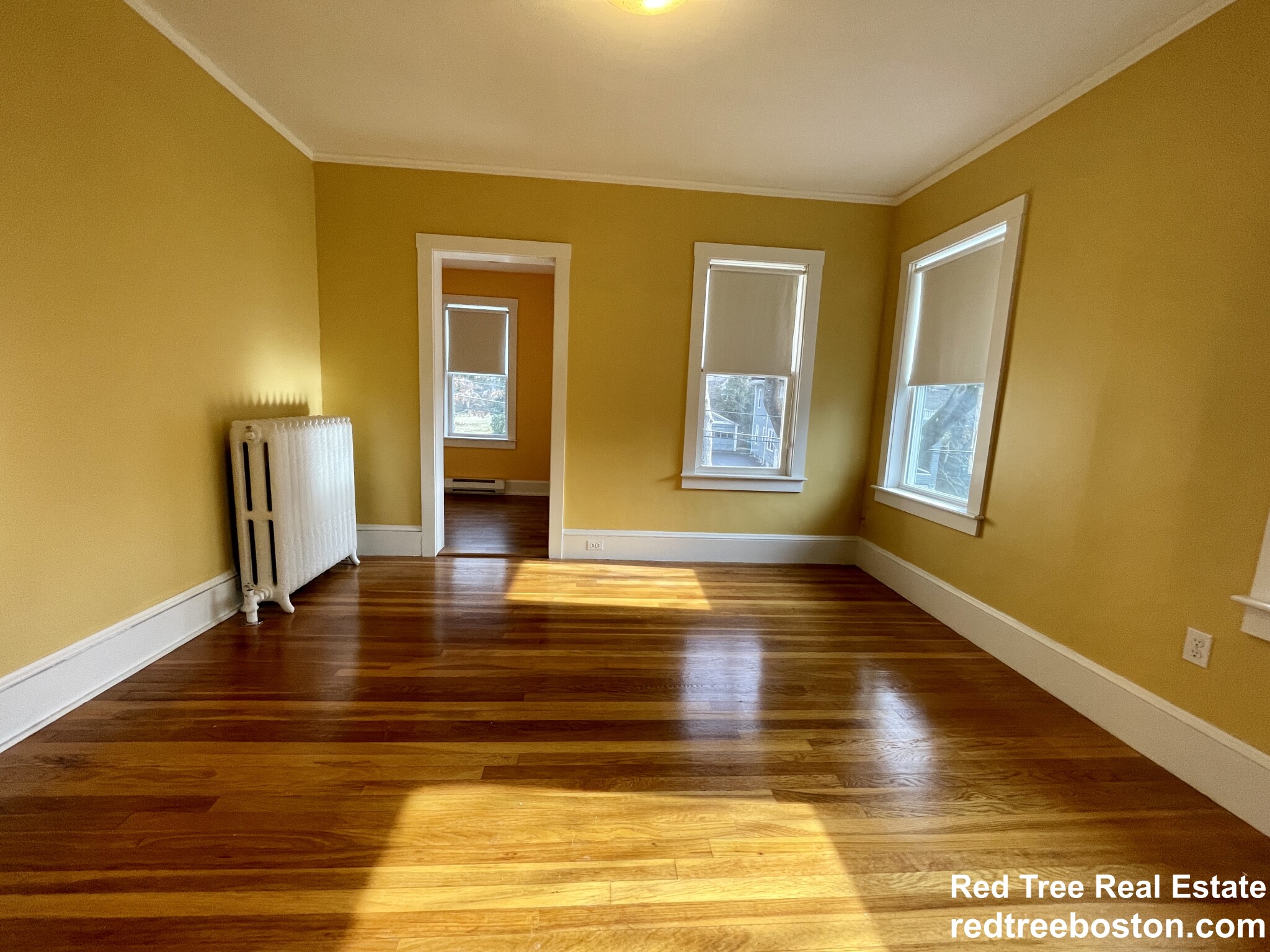 15 Westbourne Rd, Newton