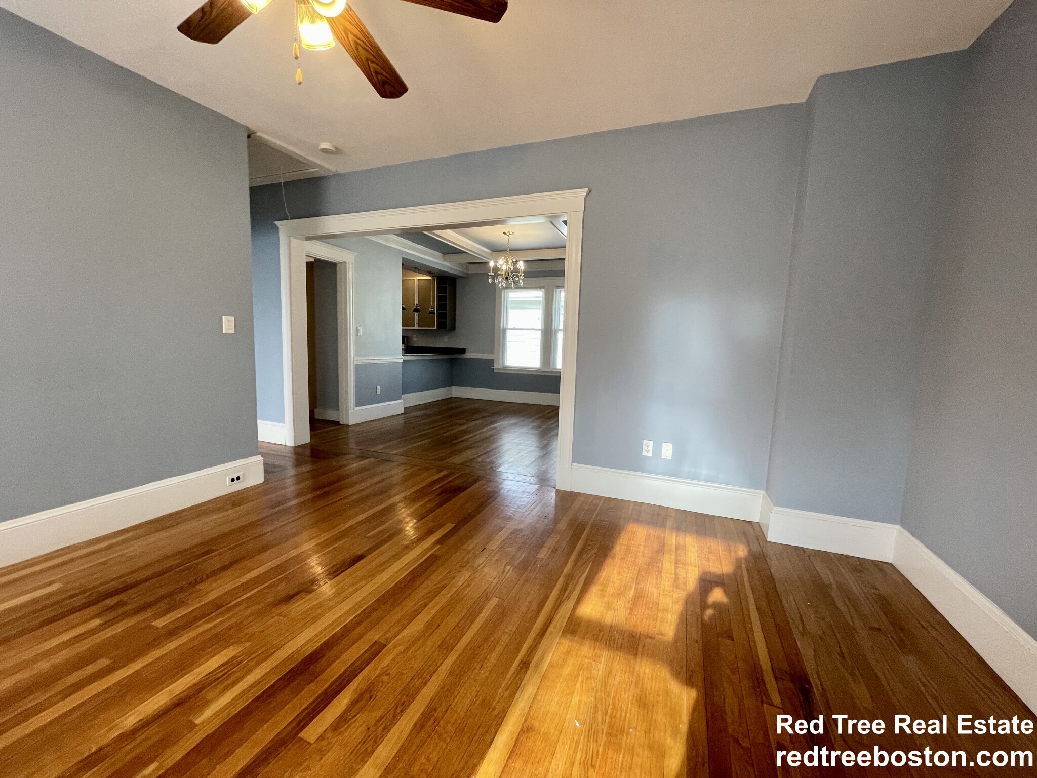 15 Westbourne Rd, Newton