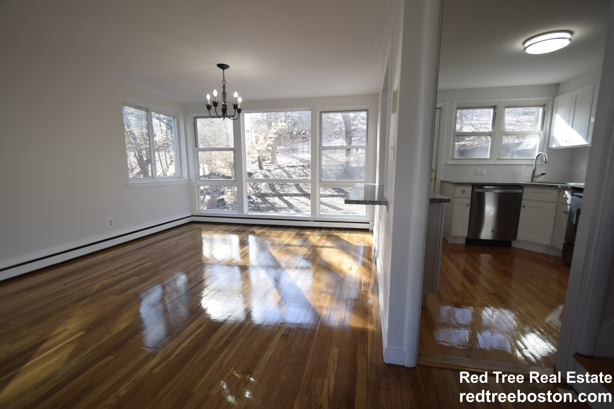 117 119 Chestnut St, Brookline Hills