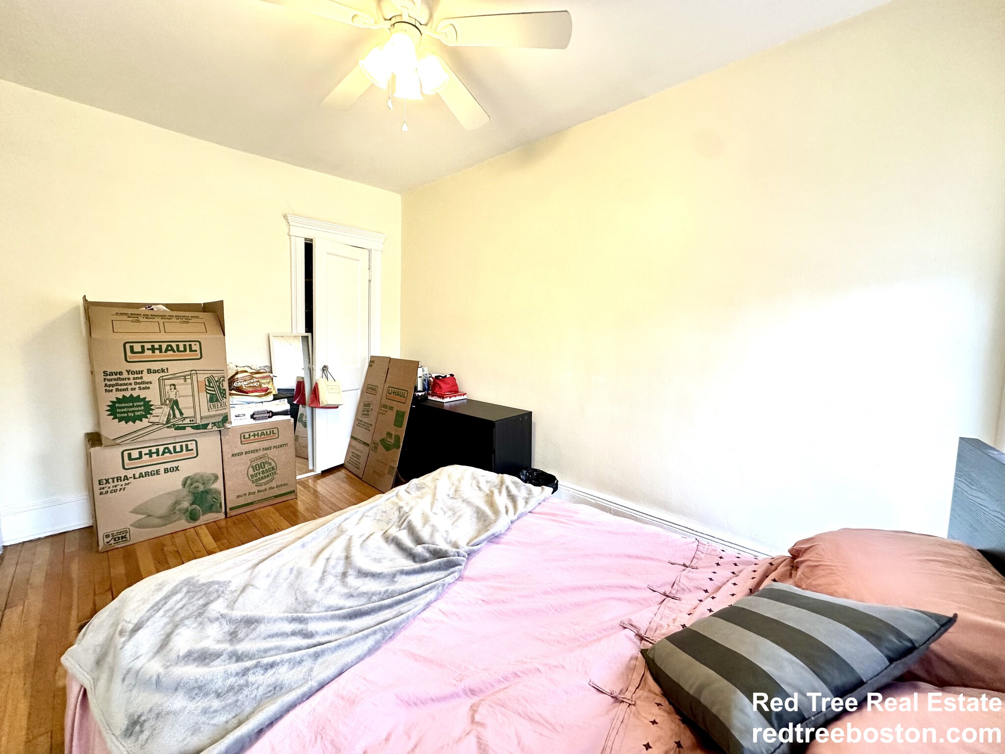 5 Braemore Rd, Brighton