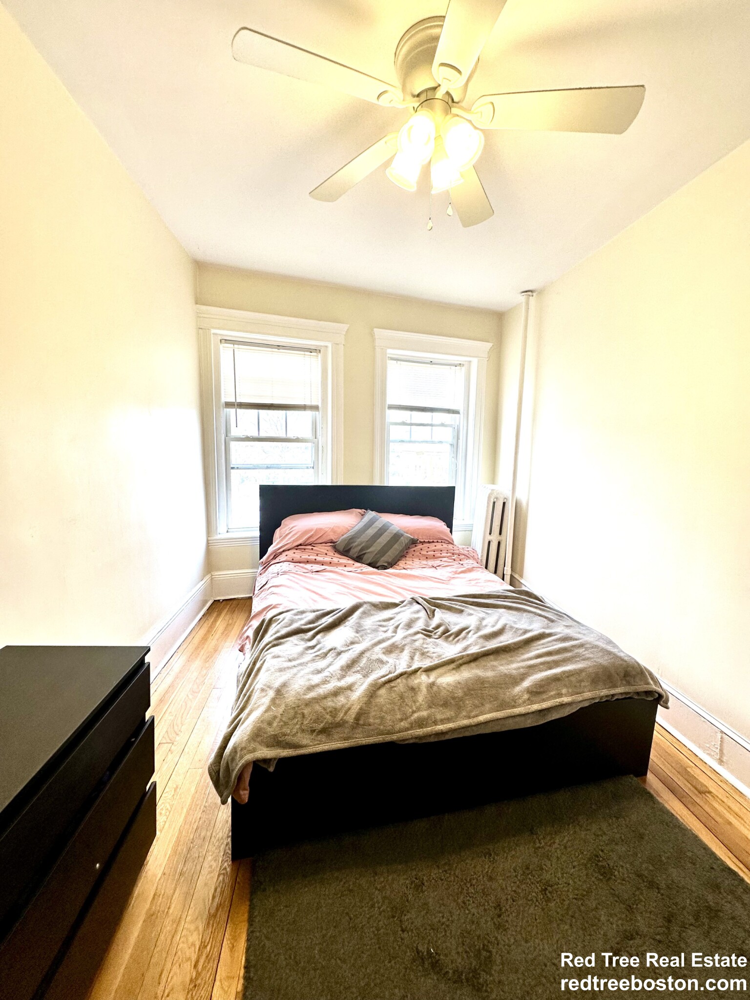 5 Braemore Rd, Brighton