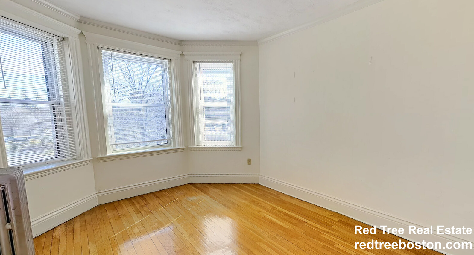 100 Queensberry St, Fenway