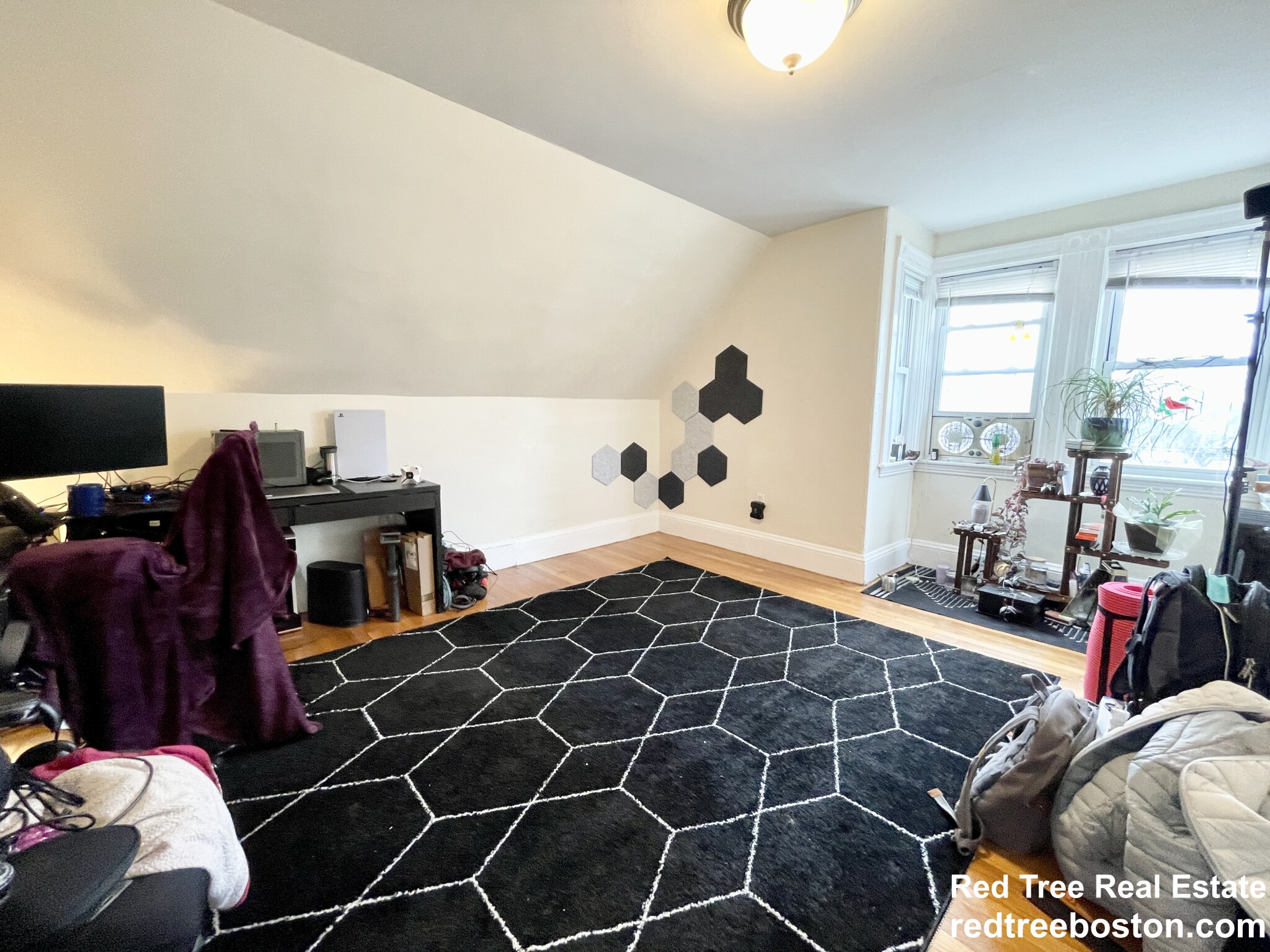 5 Murdock Ter, Brighton