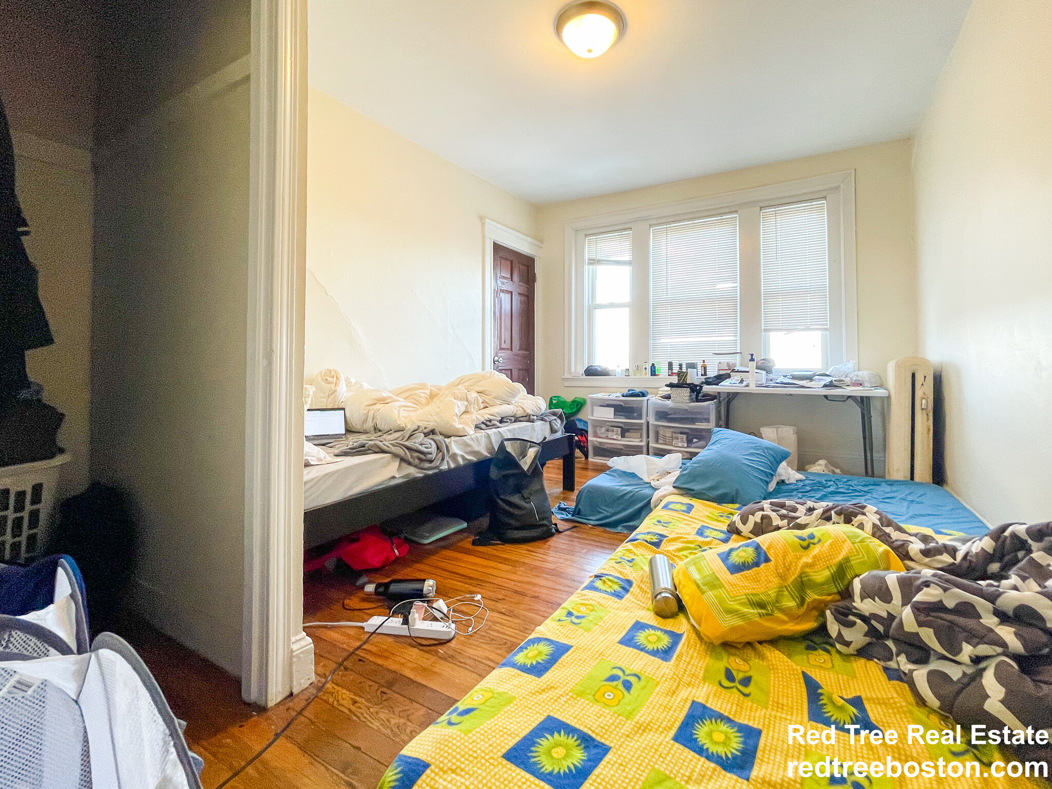 244 Kelton St, Brighton