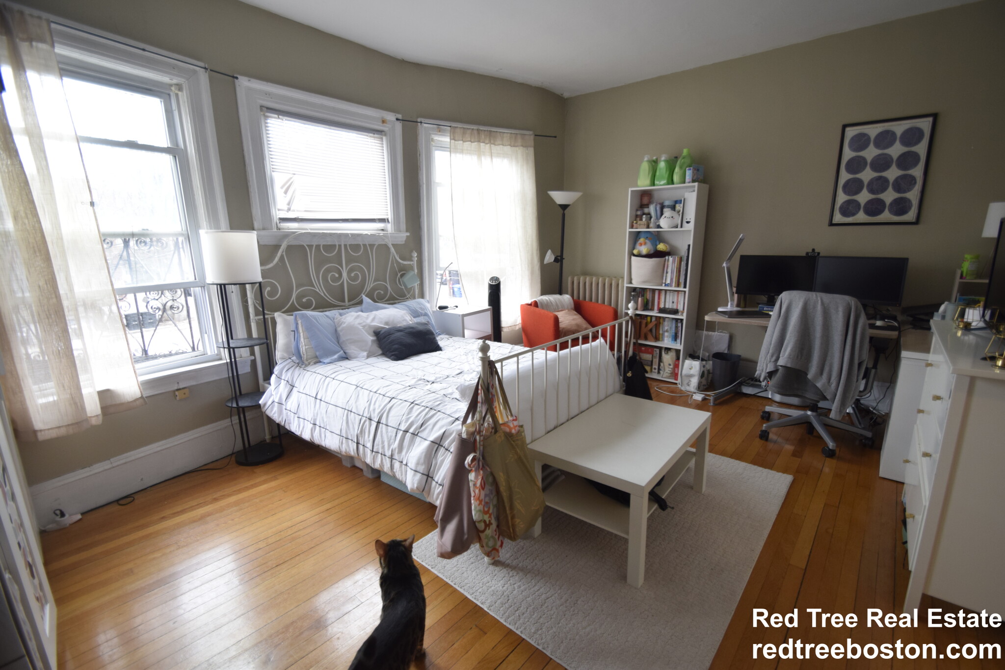 369 Tappan St, Coolidge Corner