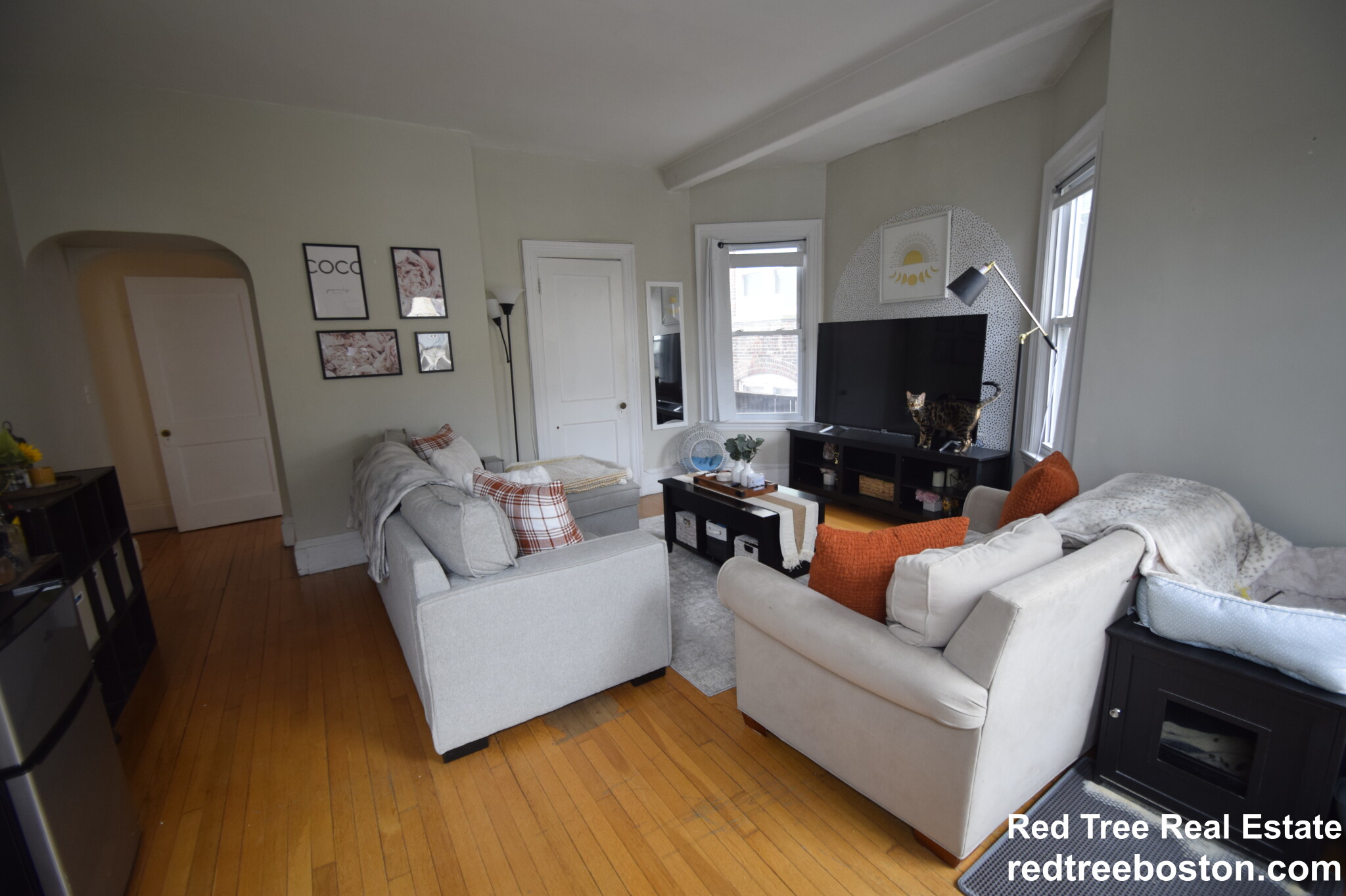 369 Tappan St, Coolidge Corner