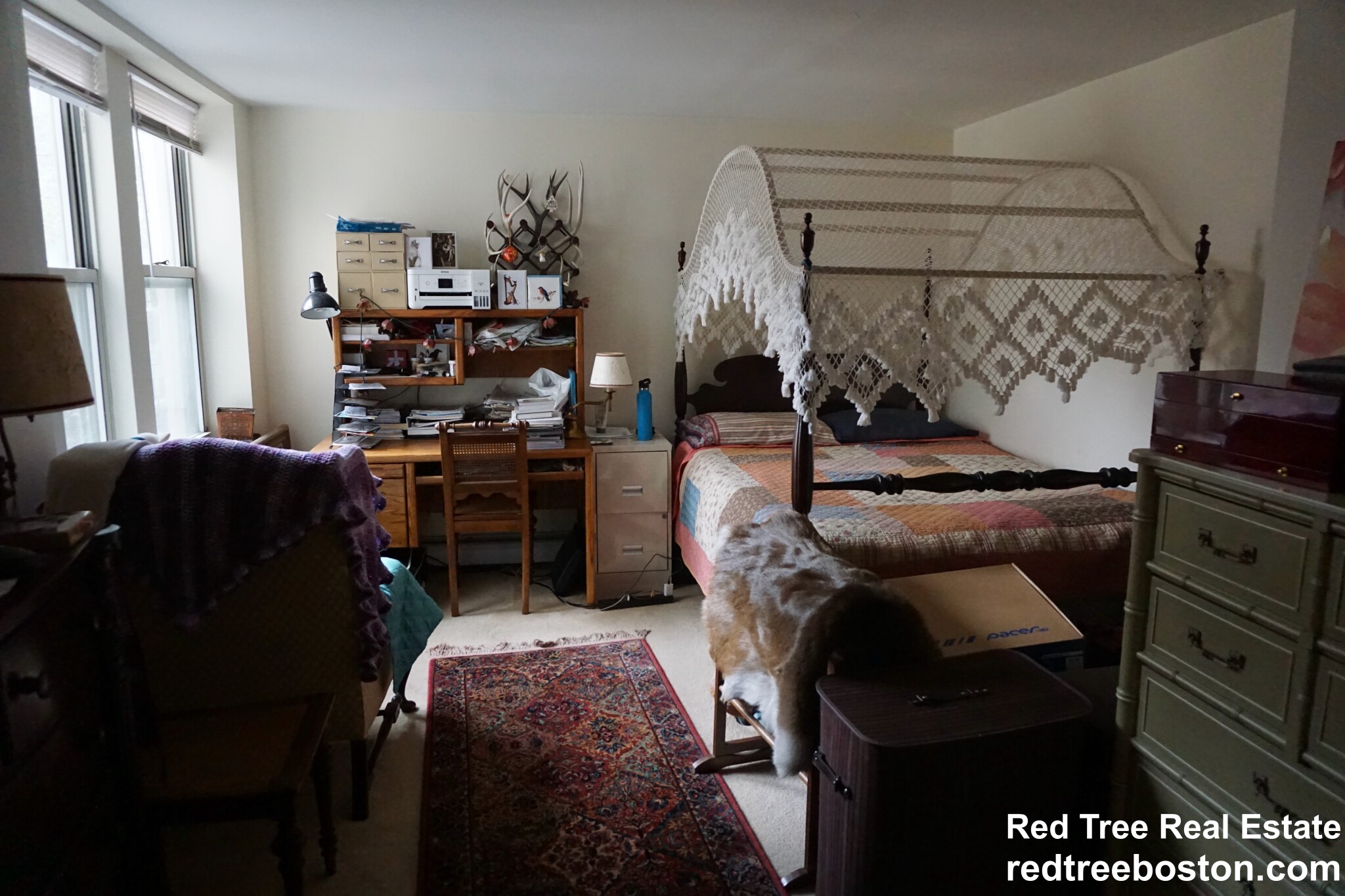 20 Colborne Rd, Brighton