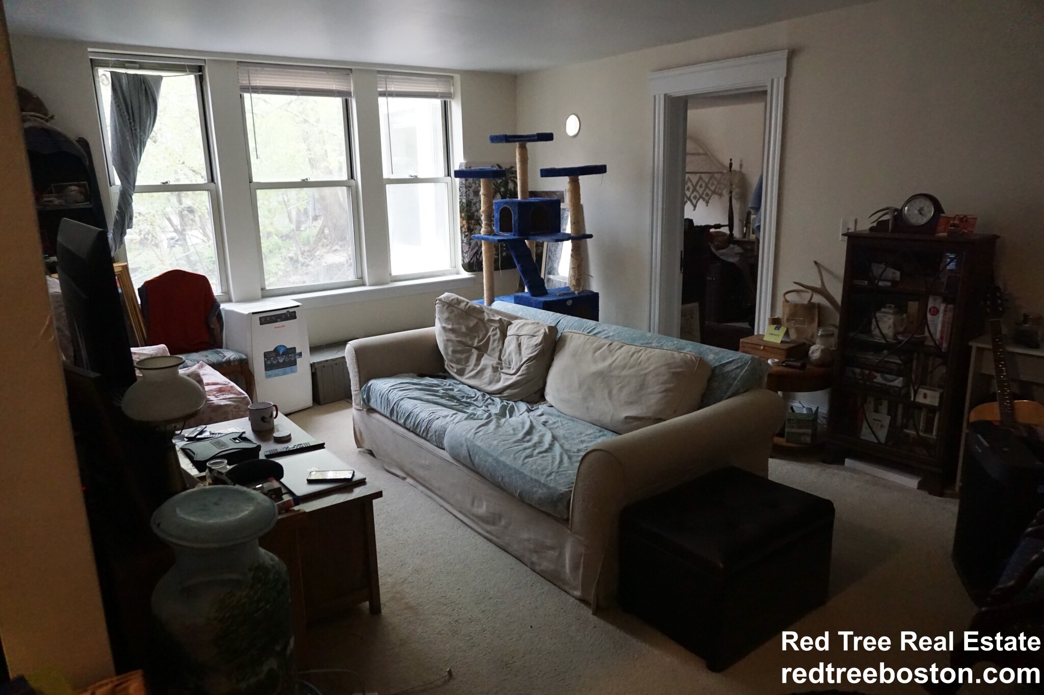 20 Colborne Rd, Brighton