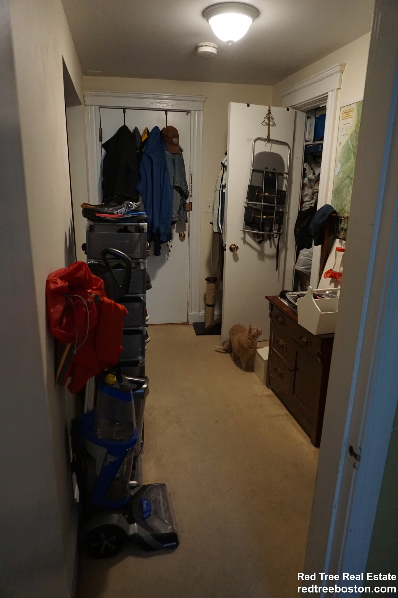 20 Colborne Rd, Brighton