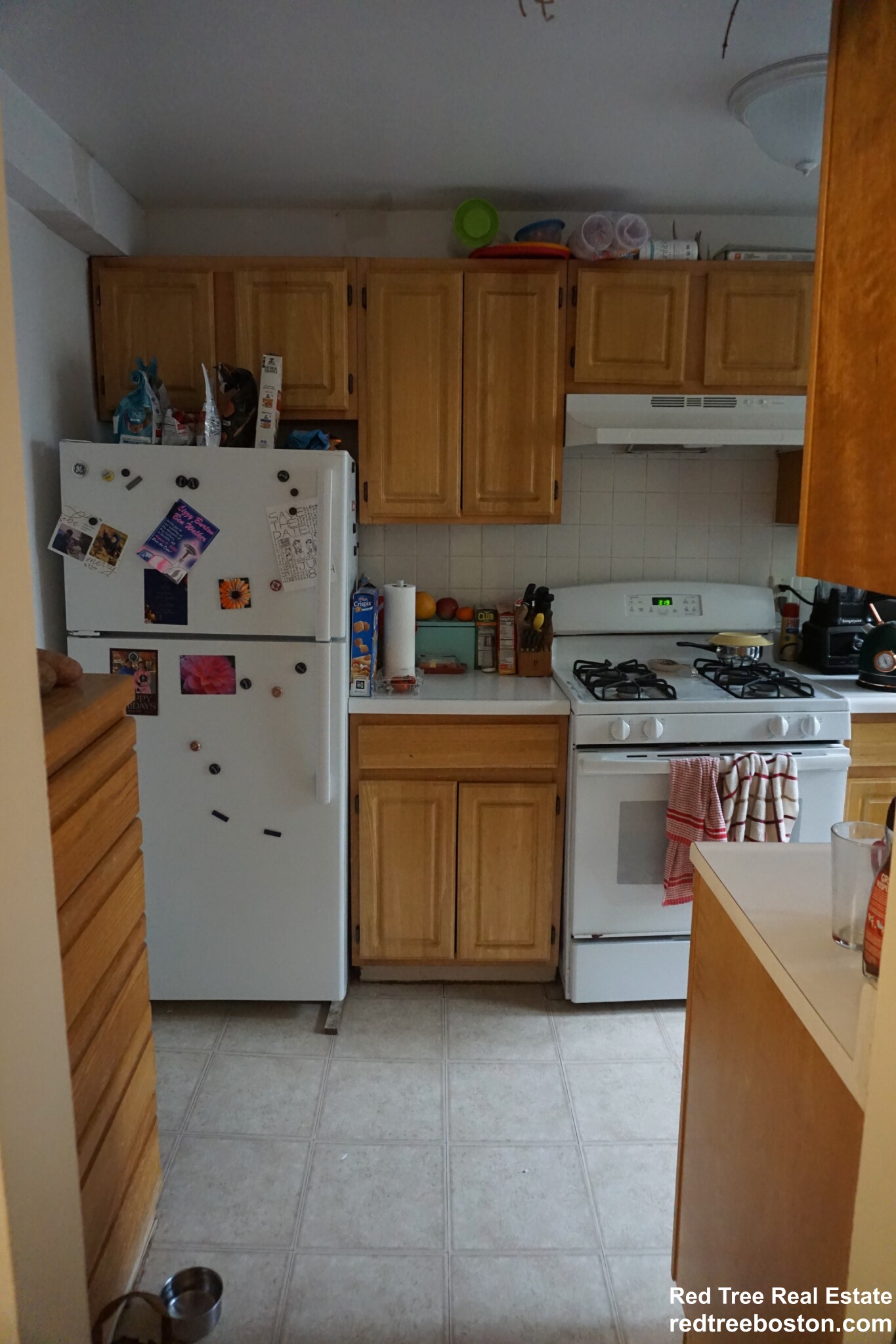 20 Colborne Rd, Brighton