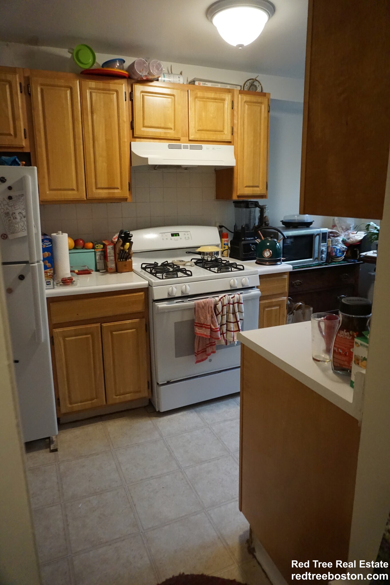 20 Colborne Rd, Brighton