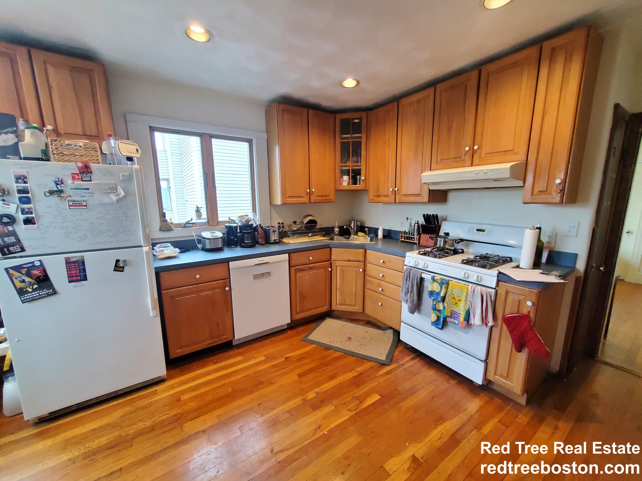 248 Cedar St, Magoun Square