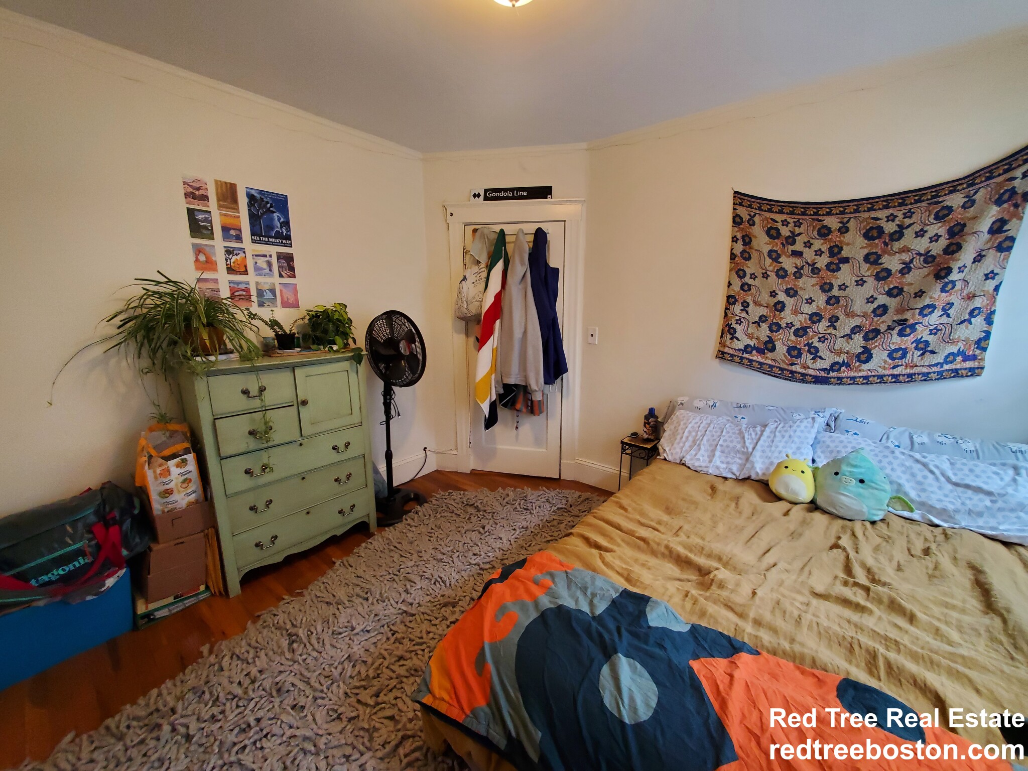 248 Cedar St, Magoun Square