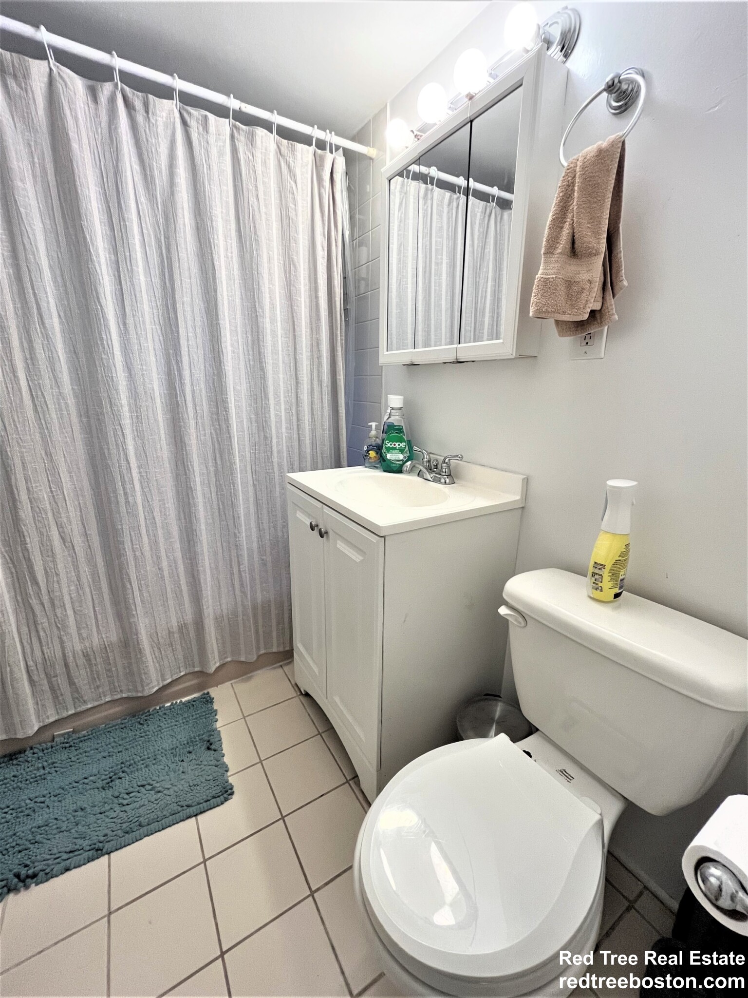 58 Bryon Rd, Chestnut Hill