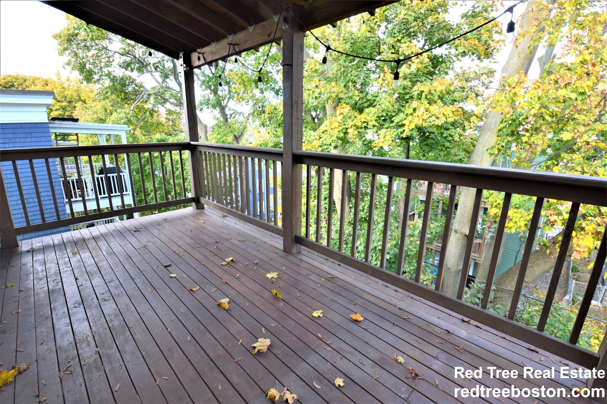 27 Ransom Rd, Brighton