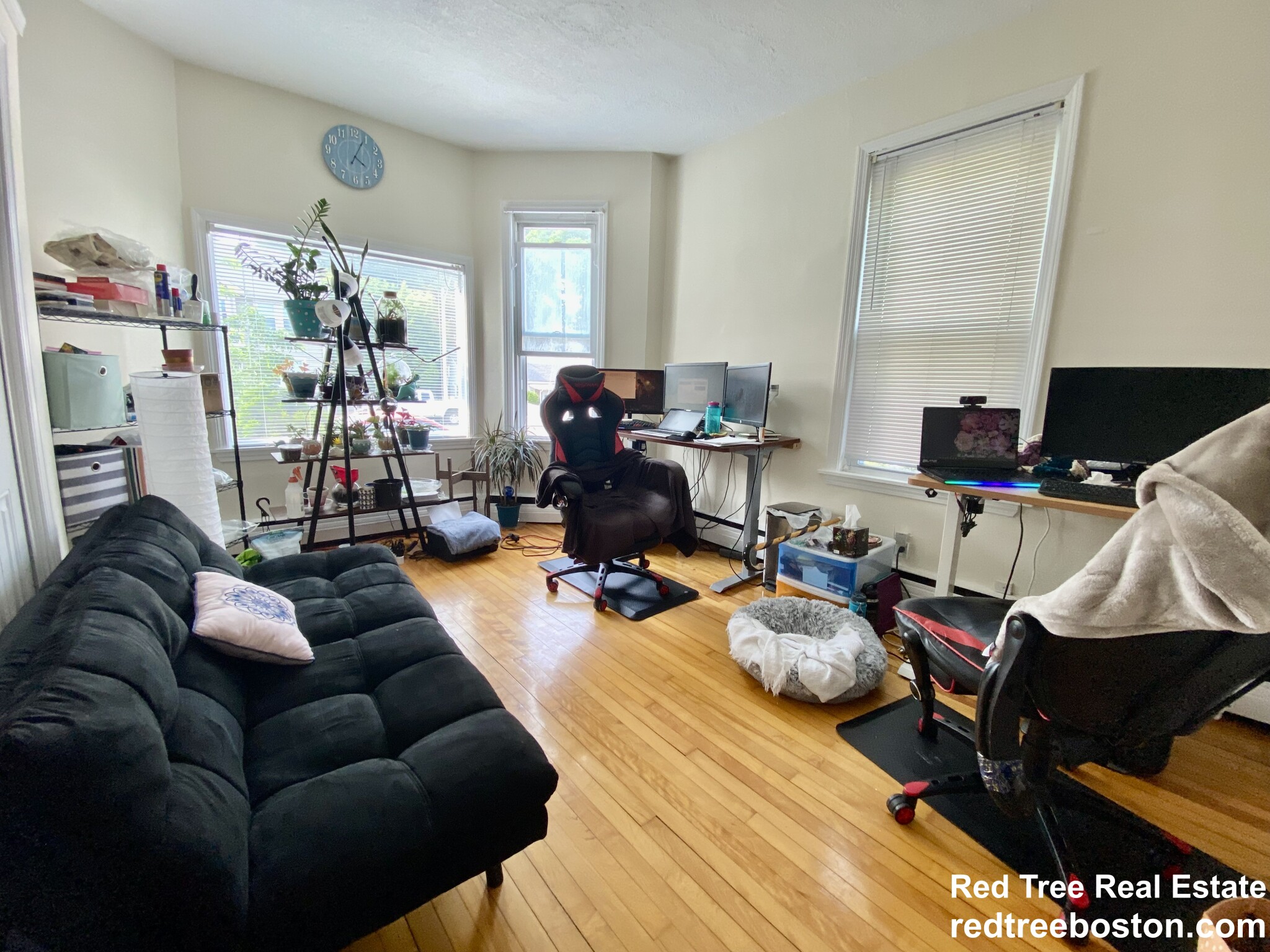 1496 Centre St, Roslindale