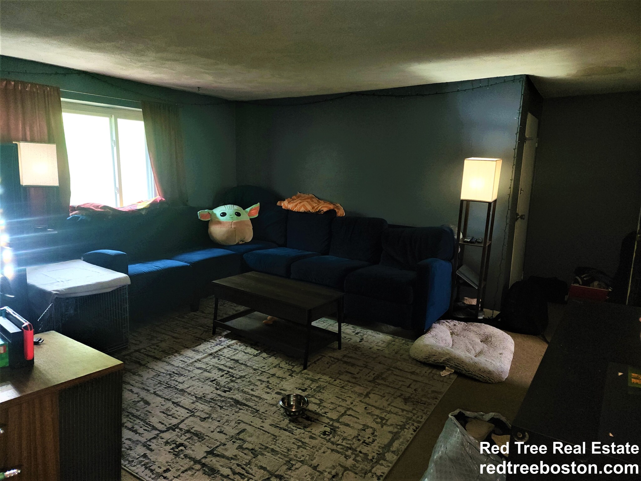 14 Byron Rd, Chestnut Hill