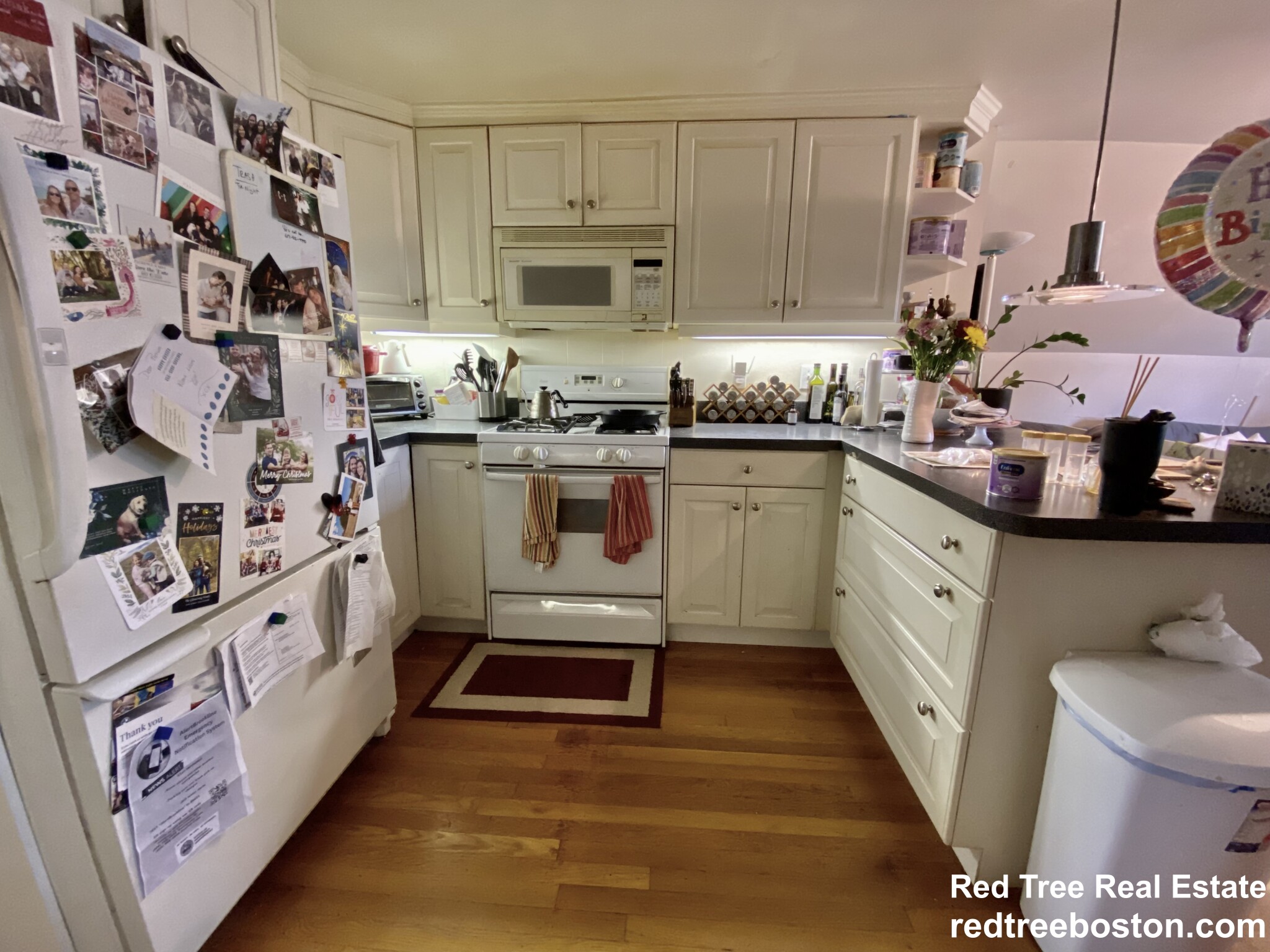 17 Harris St, Coolidge Corner