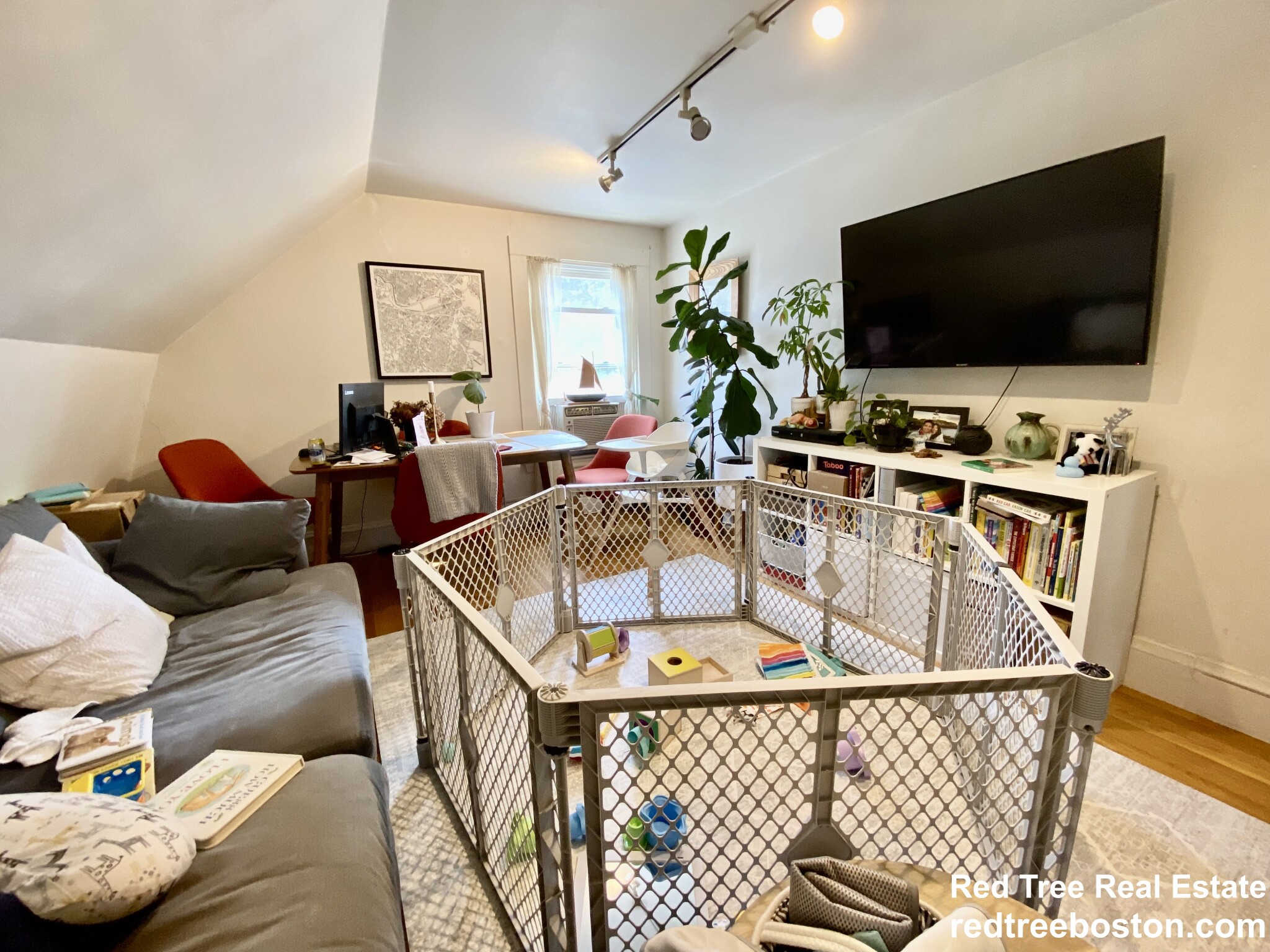 17 Harris St, Coolidge Corner