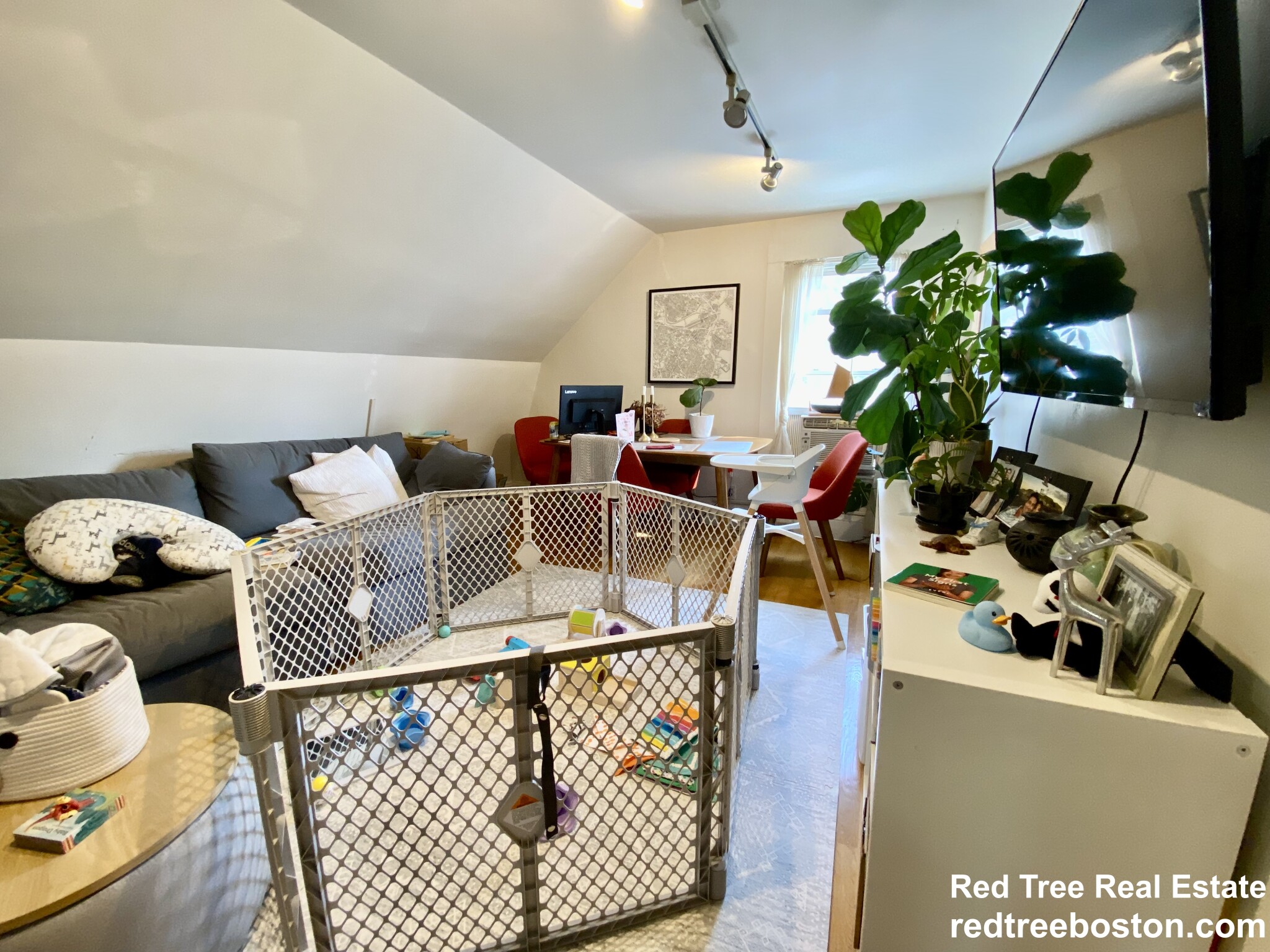 17 Harris St, Coolidge Corner