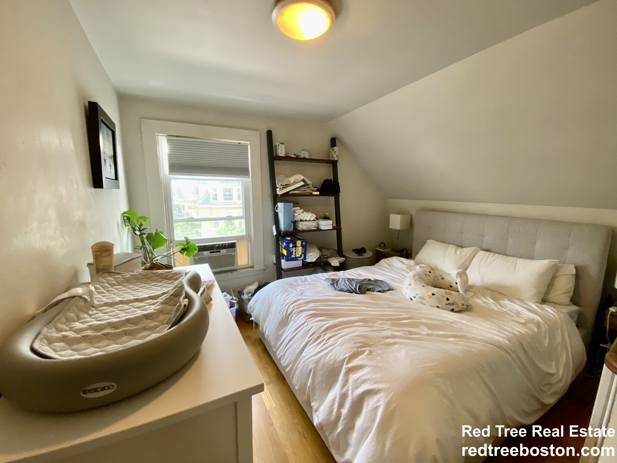 17 Harris St, Coolidge Corner