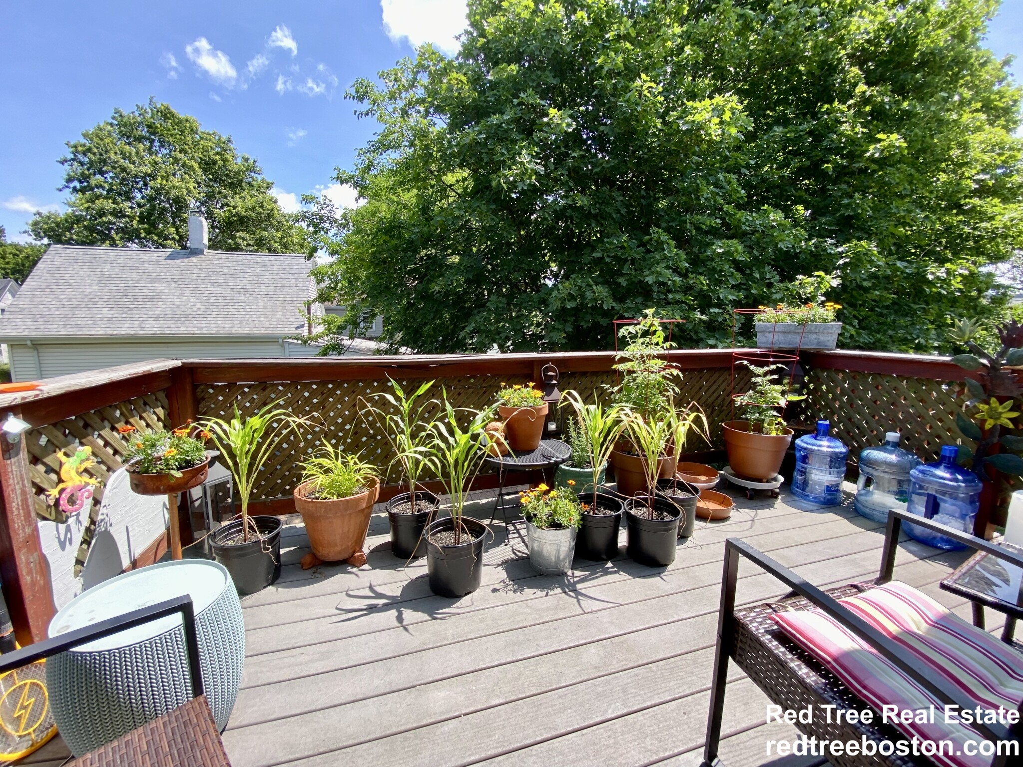 56 Jackson St, Quincy