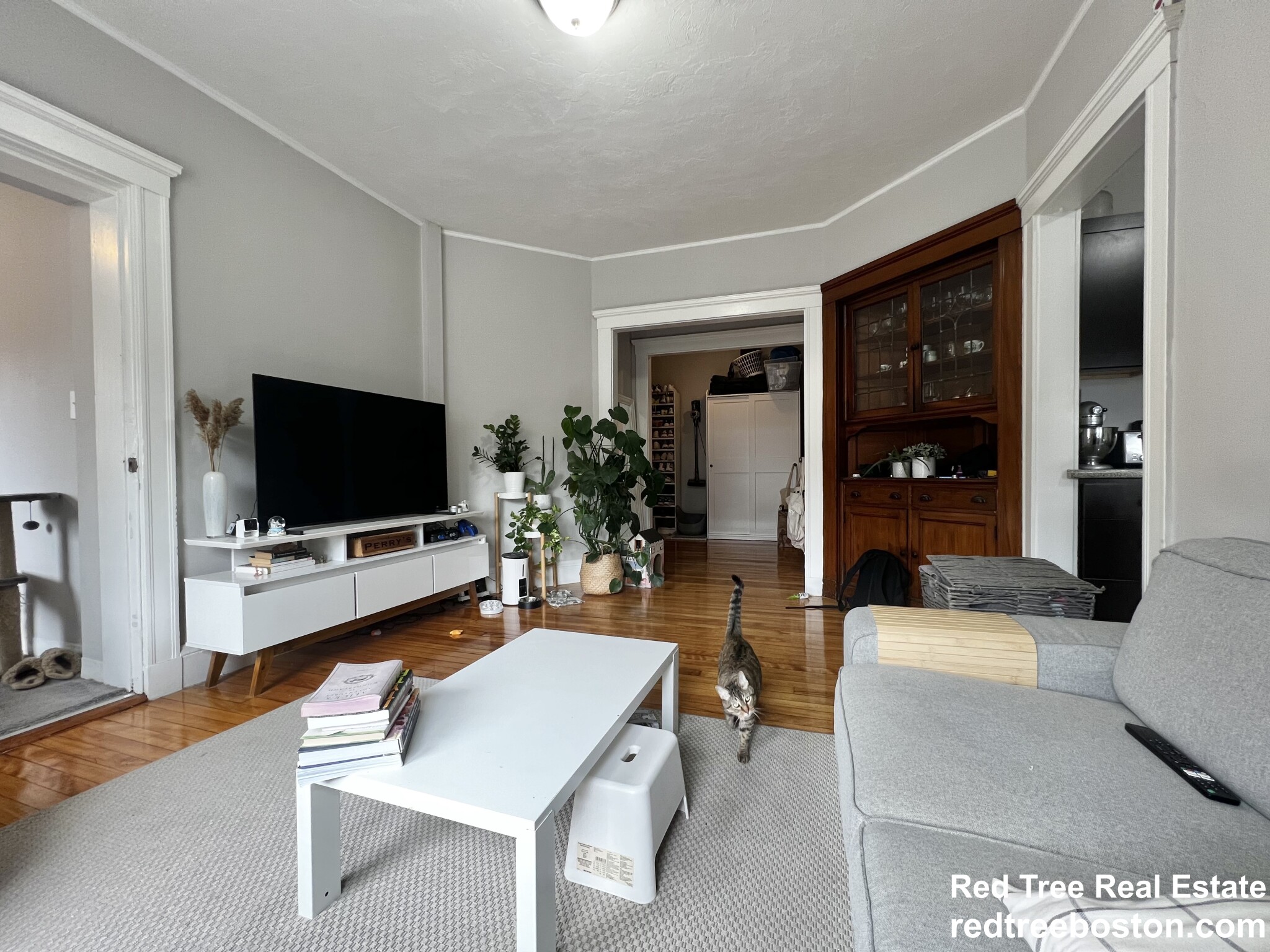 15 Gardner St, Allston