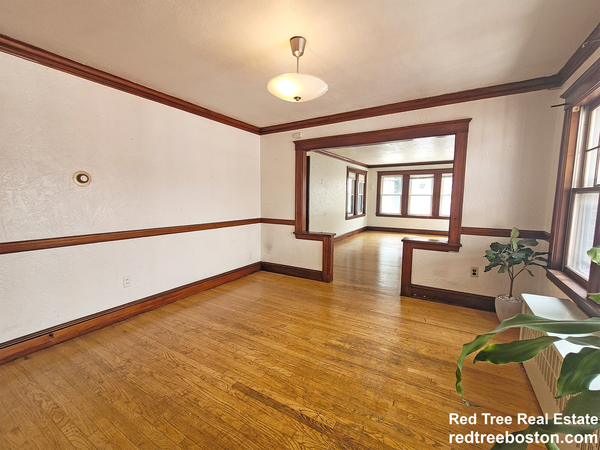 89 Colborne Rd, Brighton