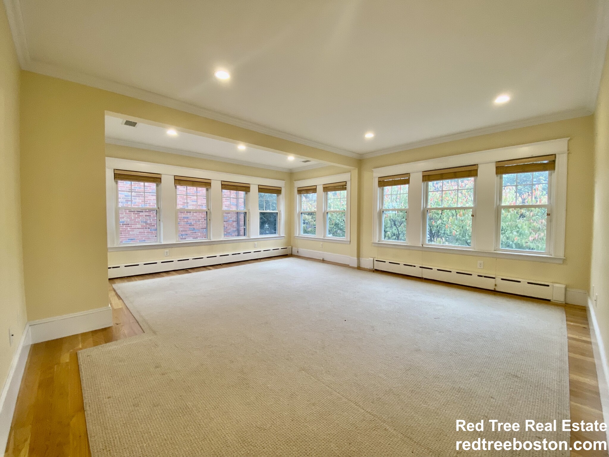 57 Lawton St, Coolidge Corner