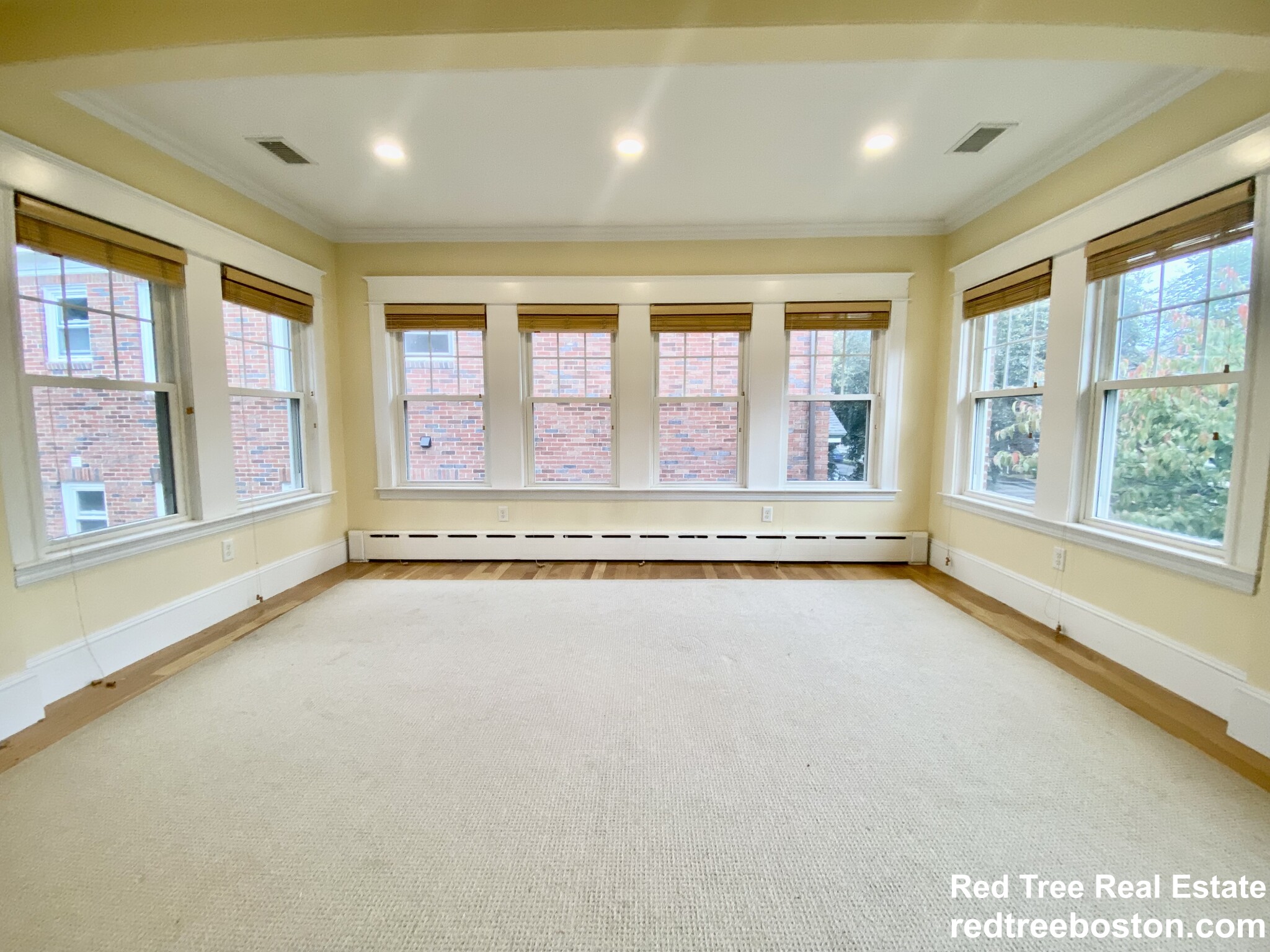 57 Lawton St, Coolidge Corner