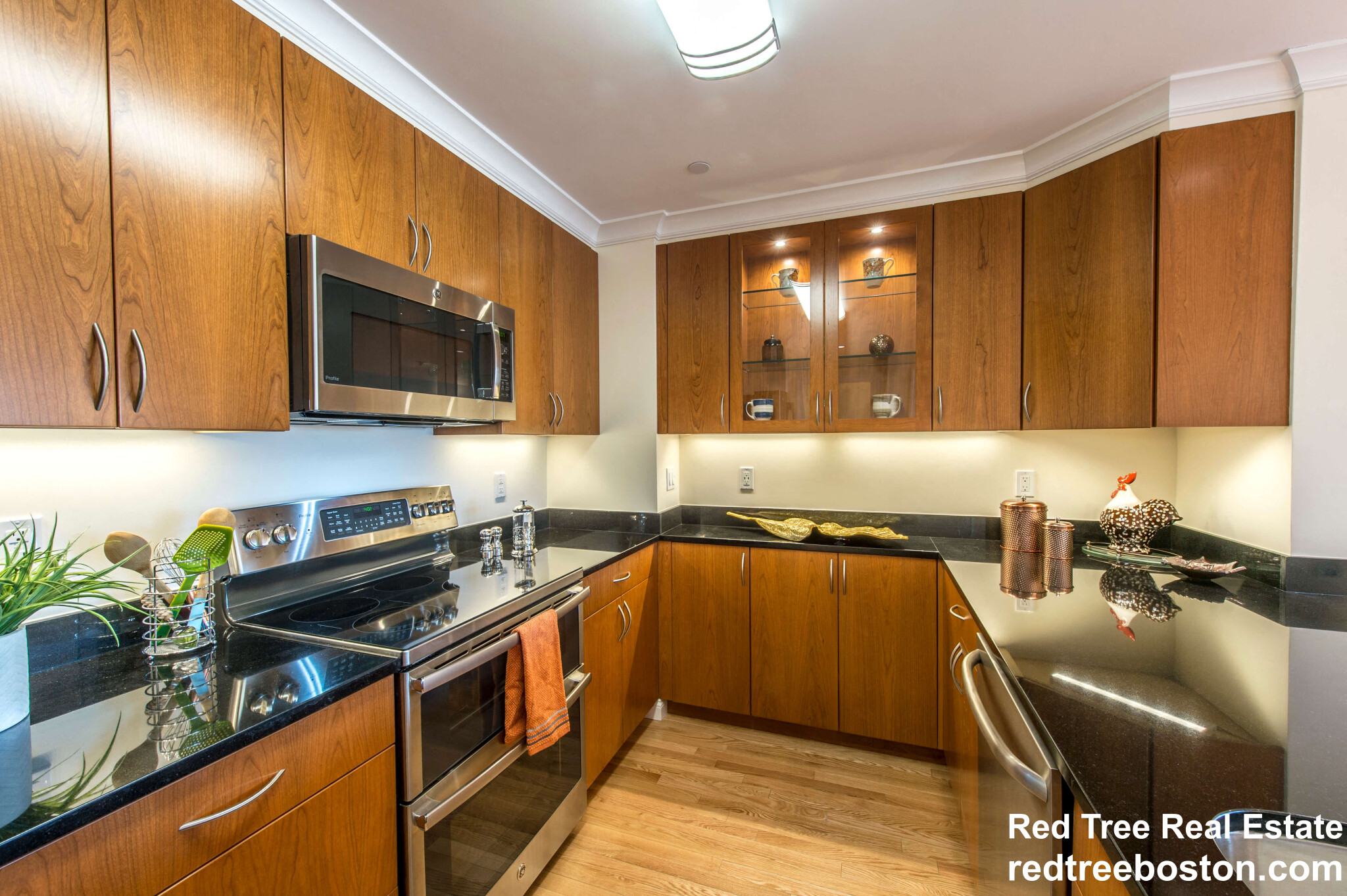 1443 Beacon St, Coolidge Corner