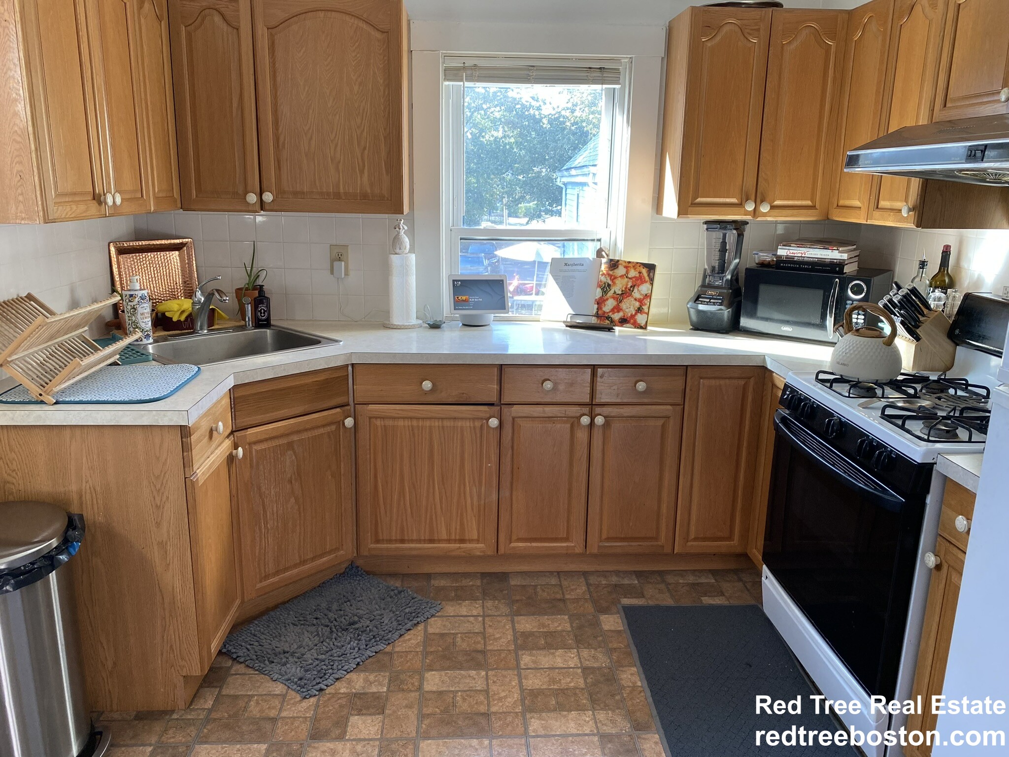 17 Abbott St, Chestnut Hill (Newton)