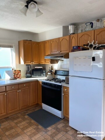 17 Abbott St, Chestnut Hill (Newton)
