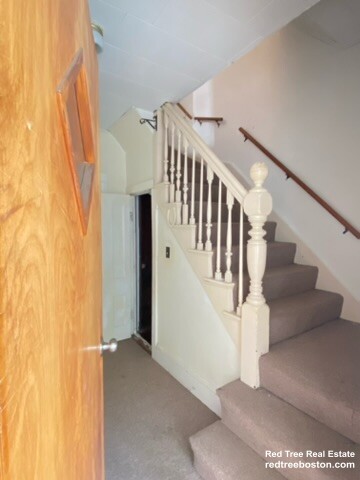 17 Abbott St, Chestnut Hill (Newton)