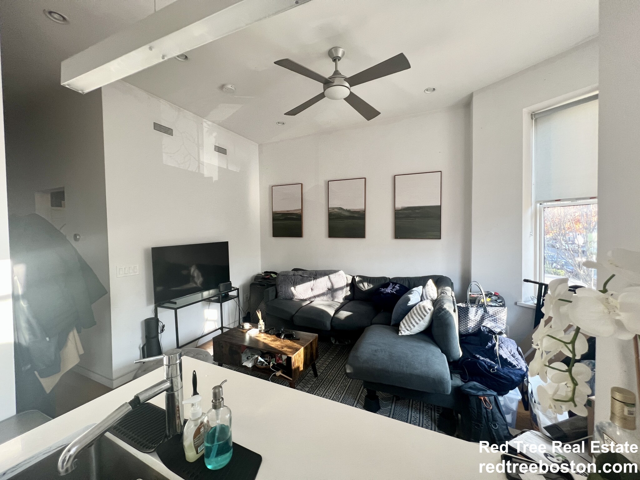 1607 Tremont St, Mission Hill