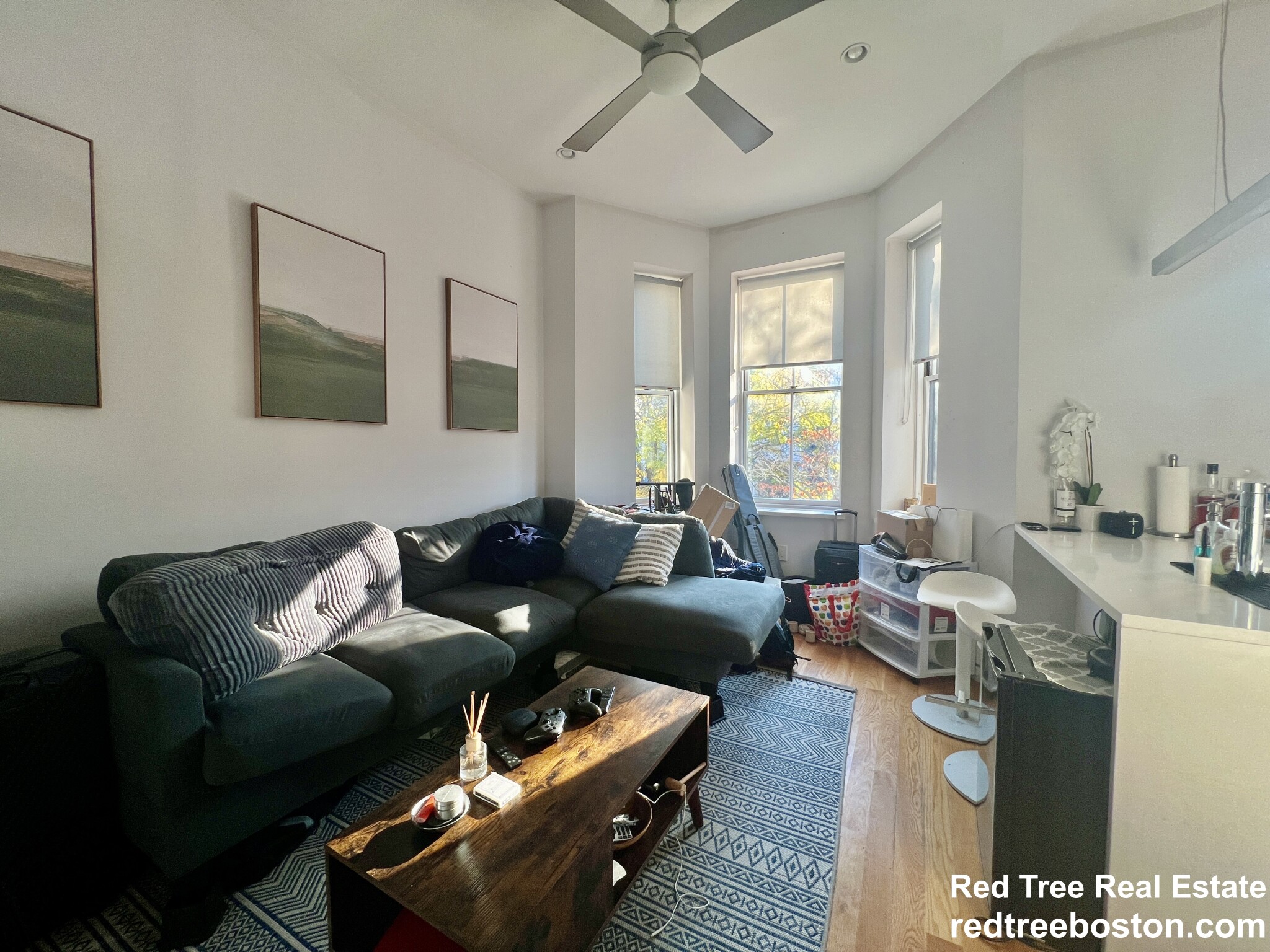 1607 Tremont St, Mission Hill