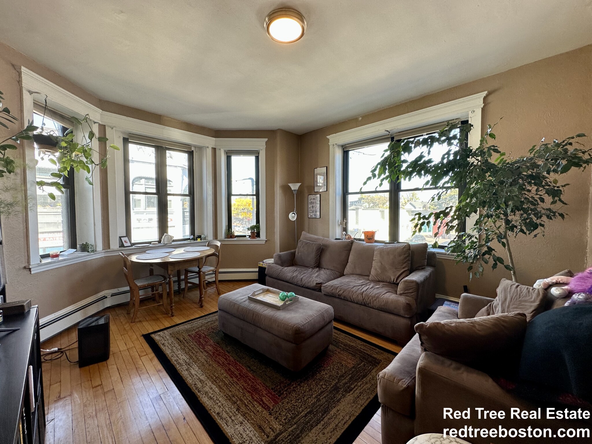 183 Harvard Ave, Allston