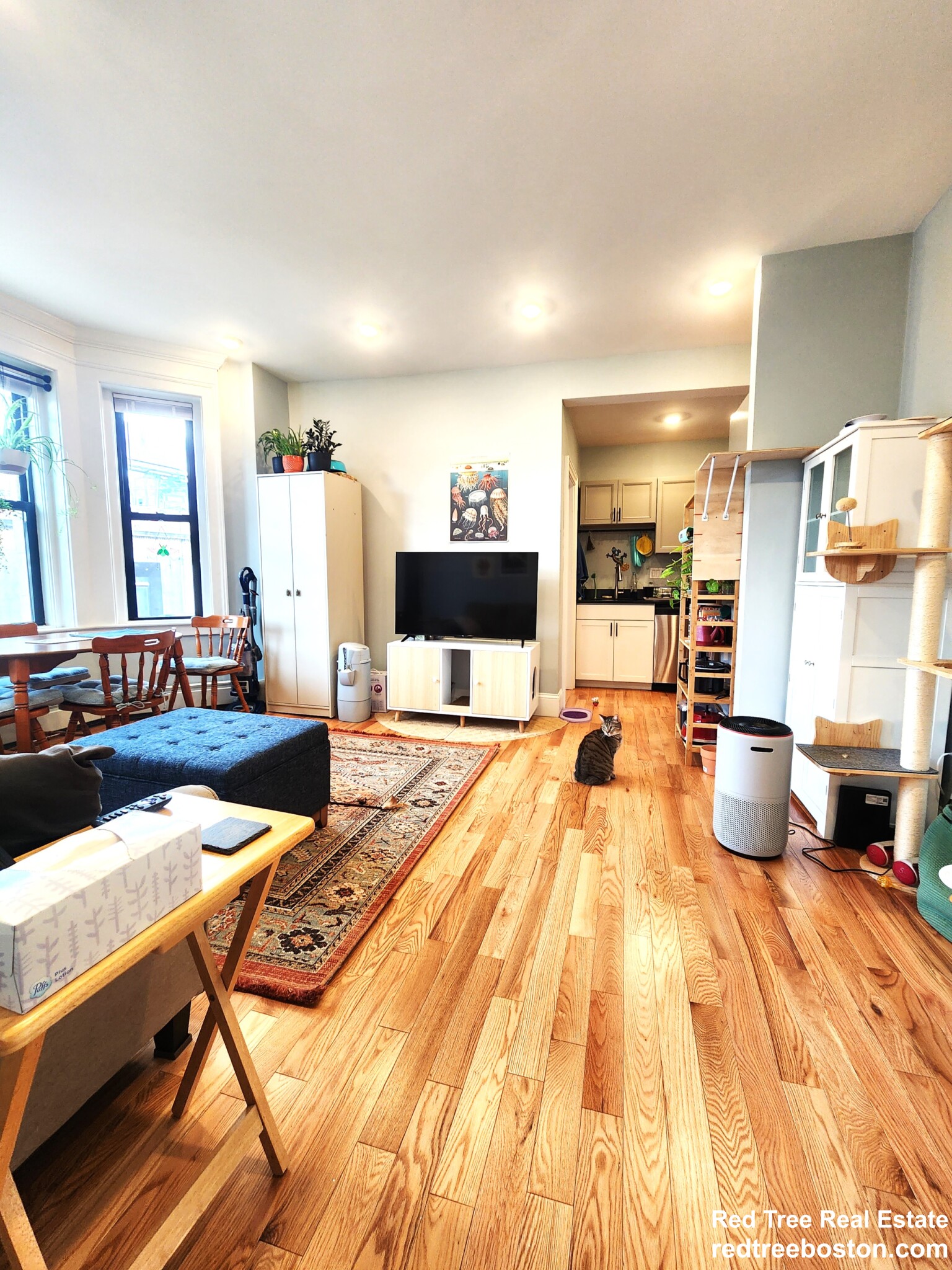 183 Harvard Ave, Allston