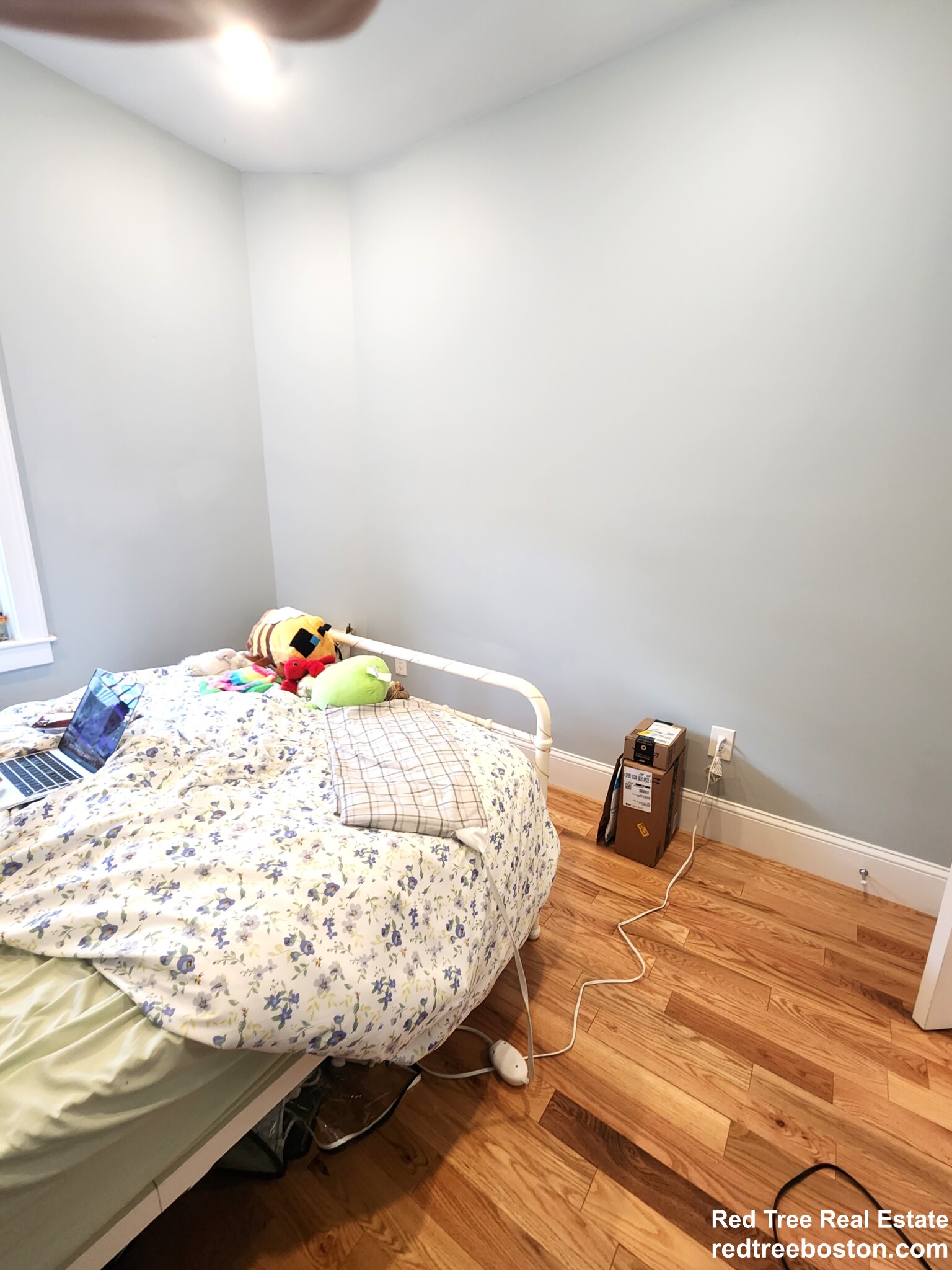 183 Harvard Ave, Allston