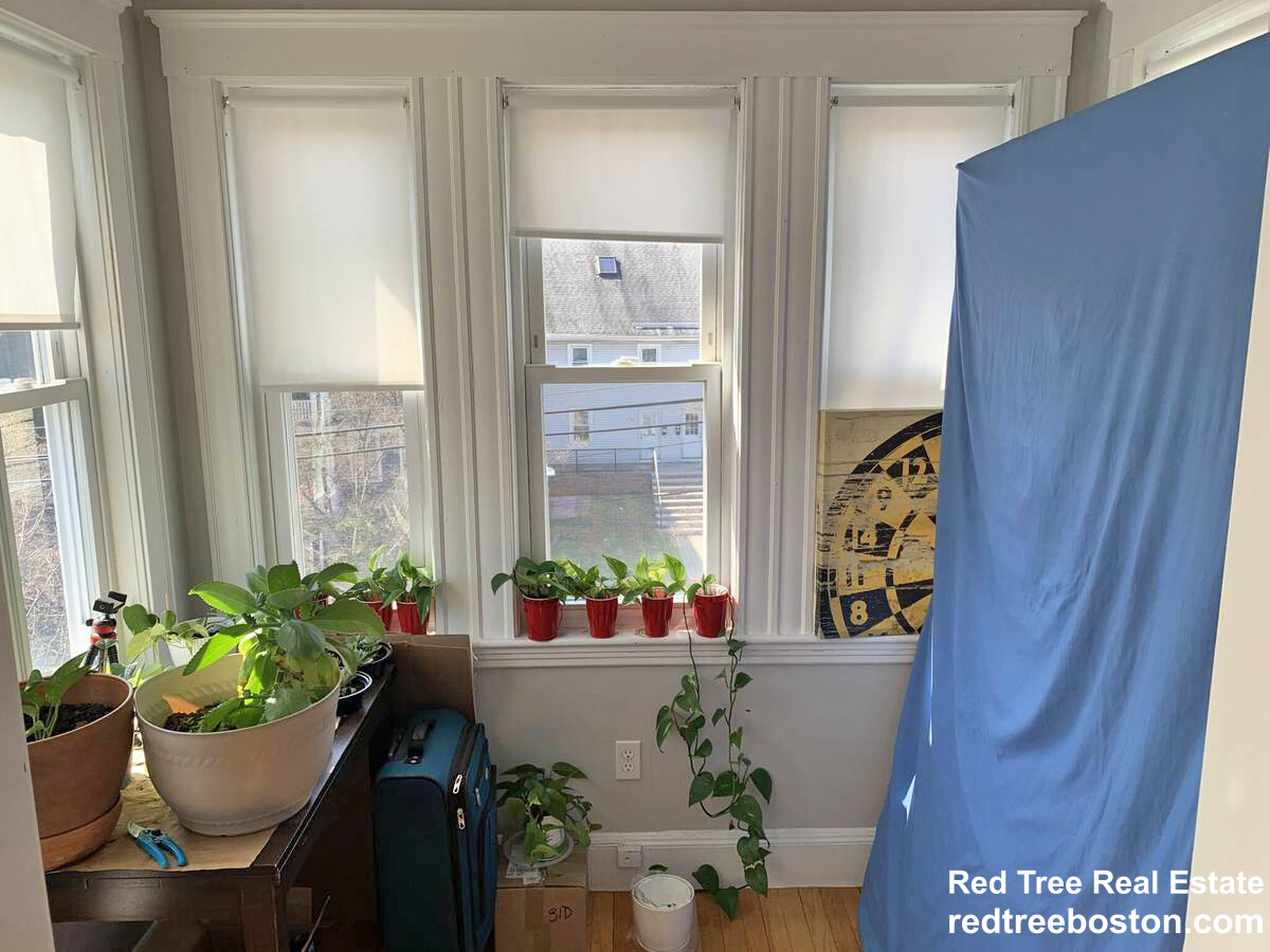 65 Tremont St, Brighton