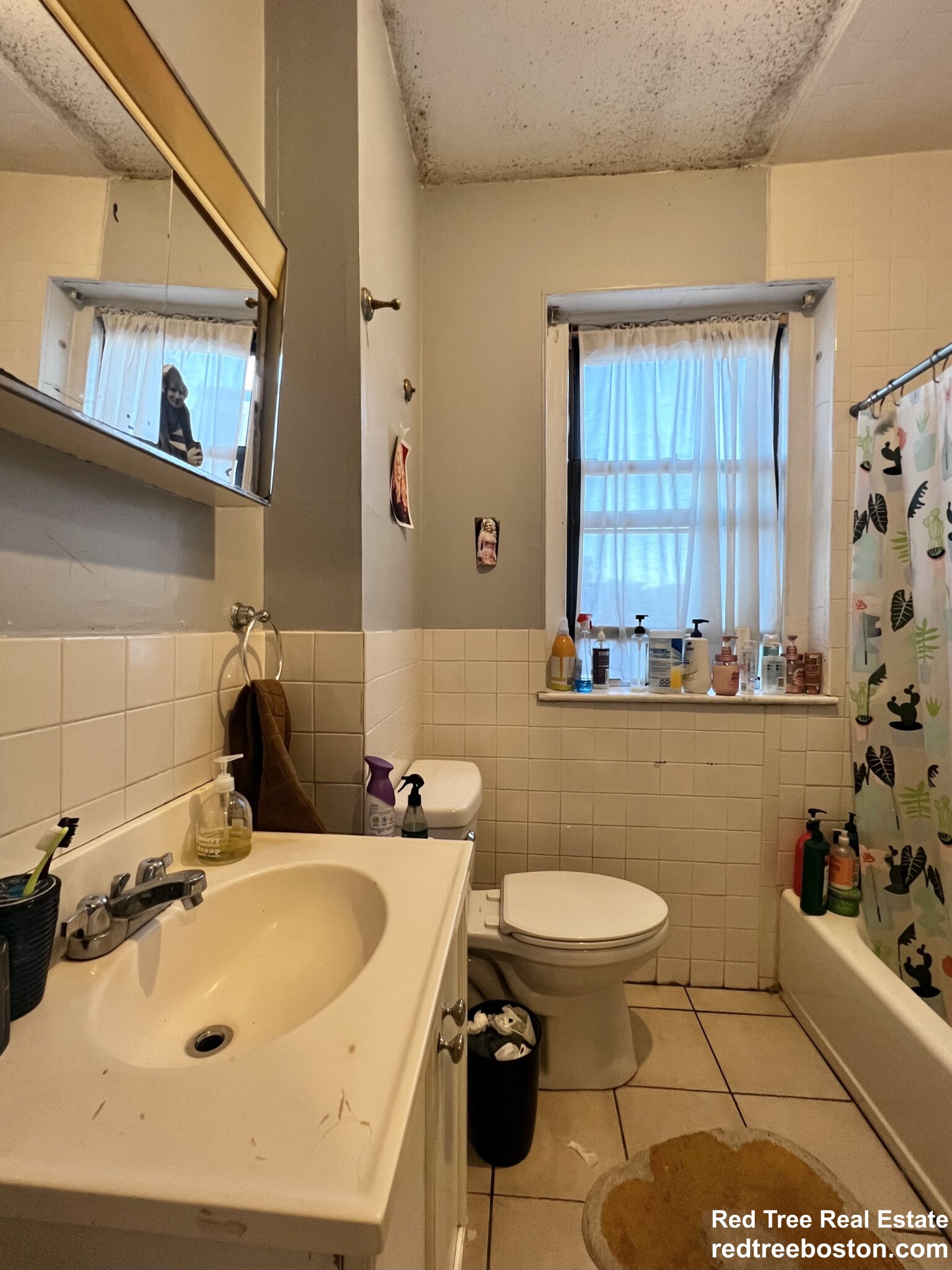 18 Glenville Ave, Allston