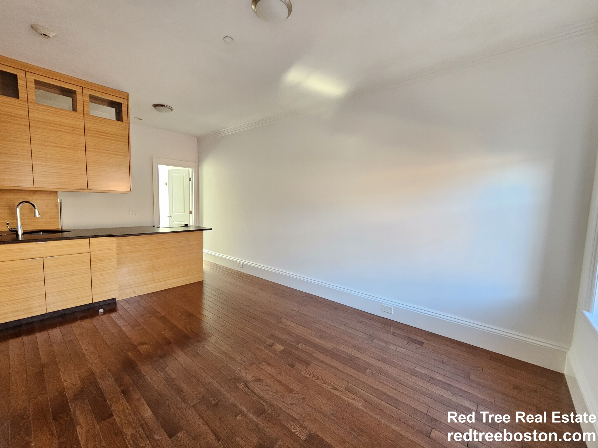 9 Myrtle St, Beacon Hill