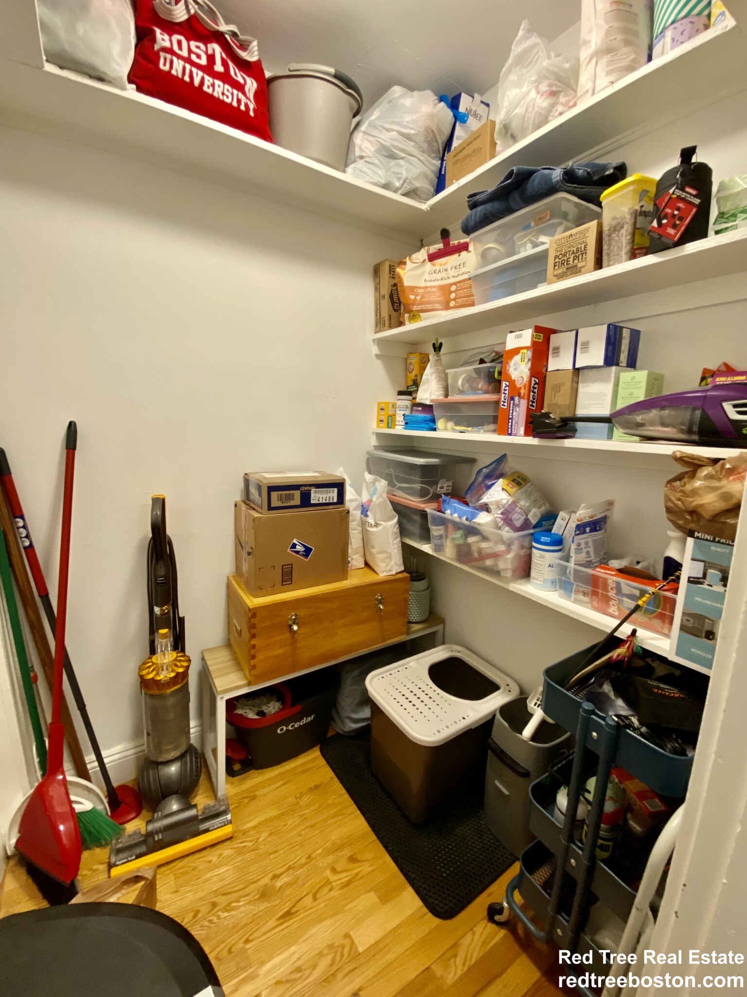 24 Saint Peter, Jamaica Plain