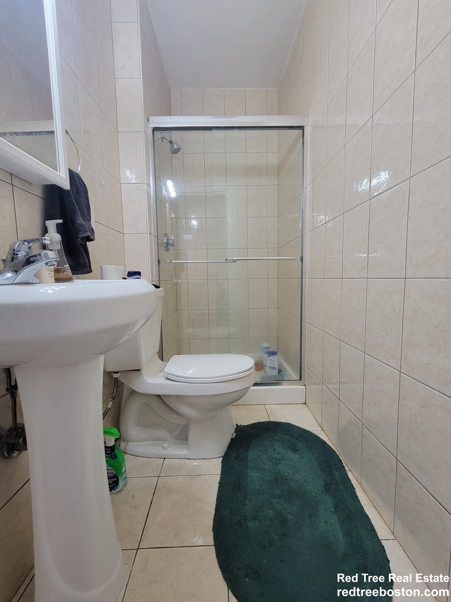 94 Pleasant St, North Brookline