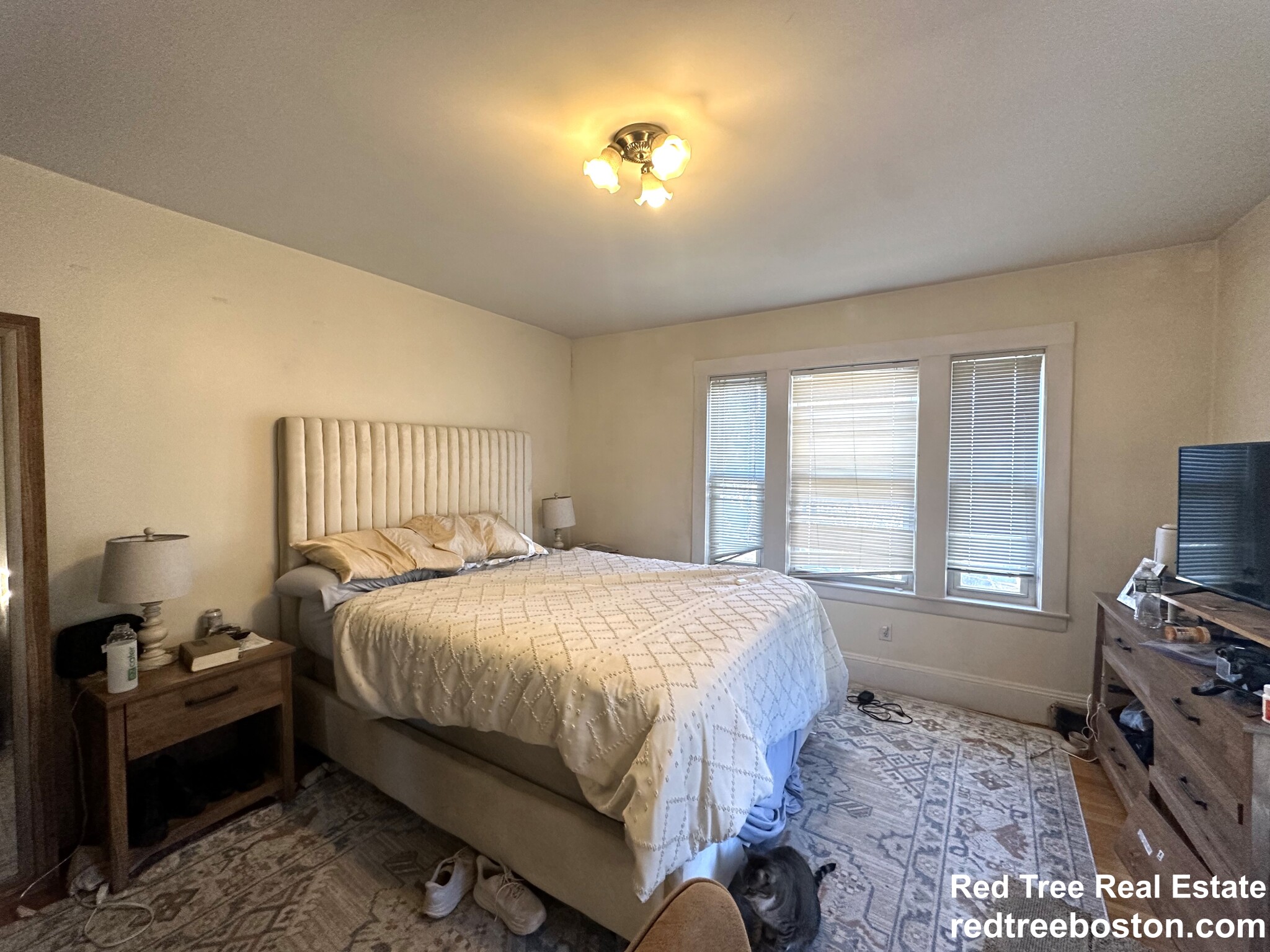 20 Magoun St, Cambridgeport