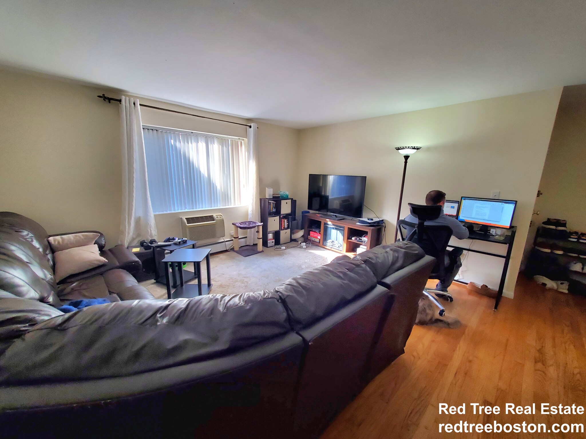 54 Bryon Rd, Chestnut Hill (Newton)