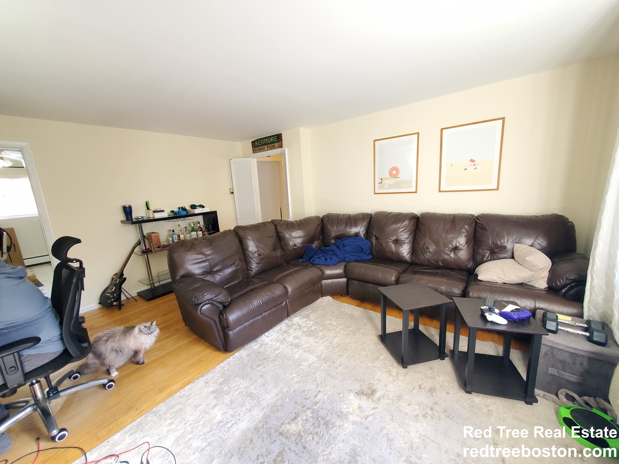 54 Bryon Rd, Chestnut Hill (Newton)