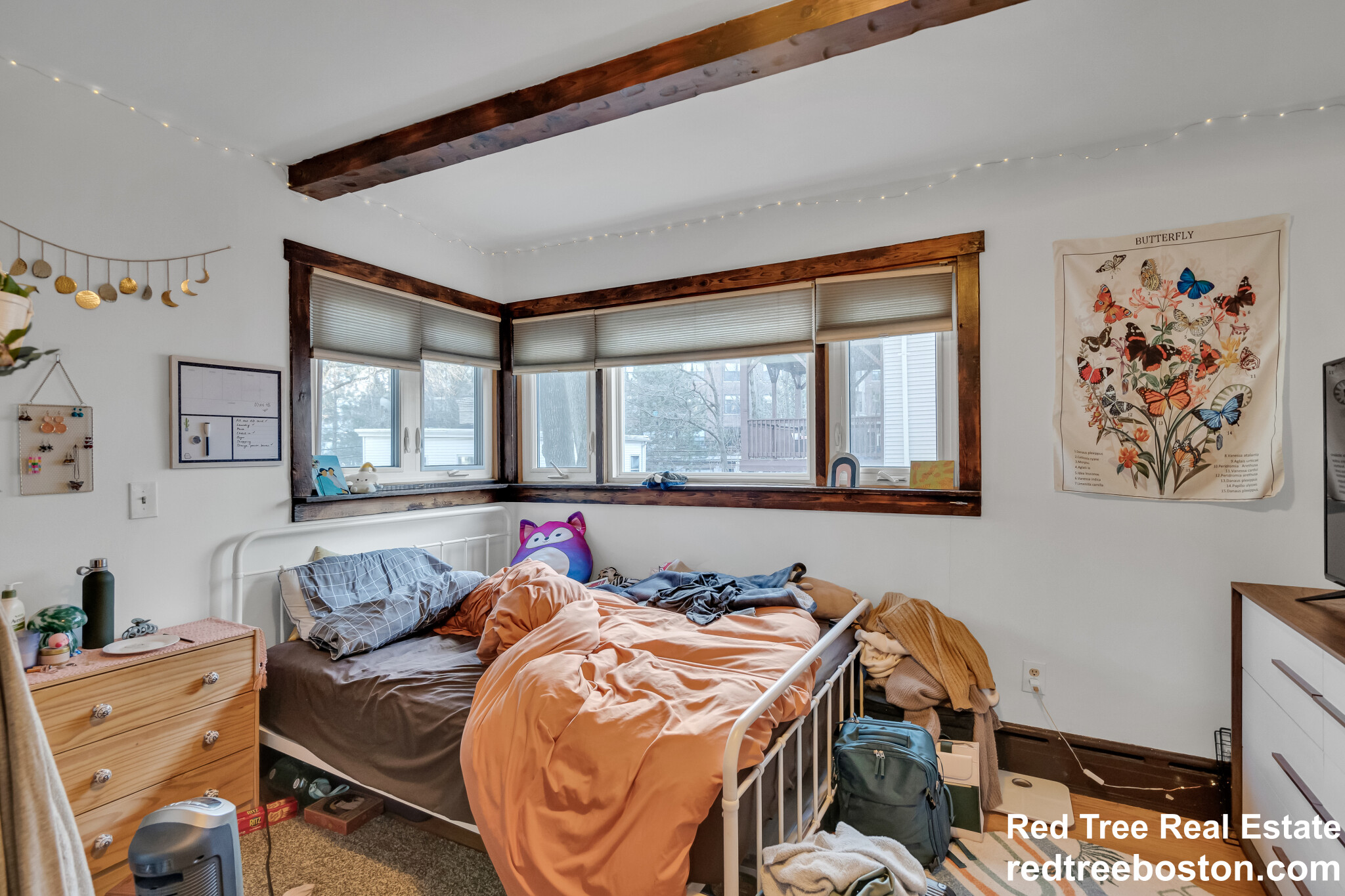 98 Cypress St, Brookline Village